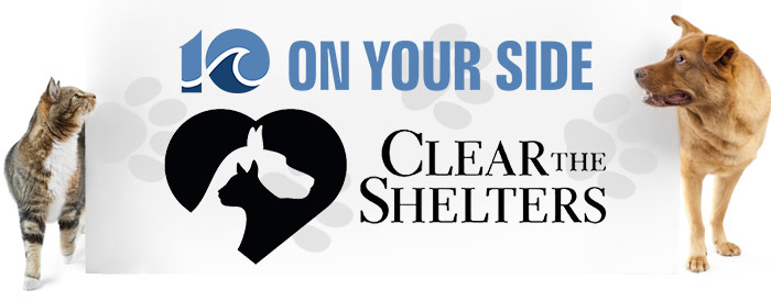 clear-the-shelters-700x274 (1)_1531861711303.jpg.jpg