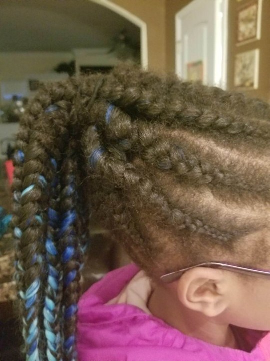 blue braids_1547497726561.jpg.jpg