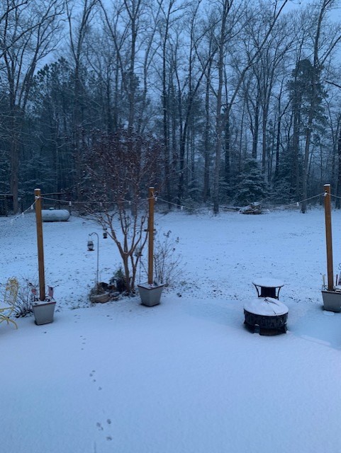 Donna Rountree Snow in Southampton County 2