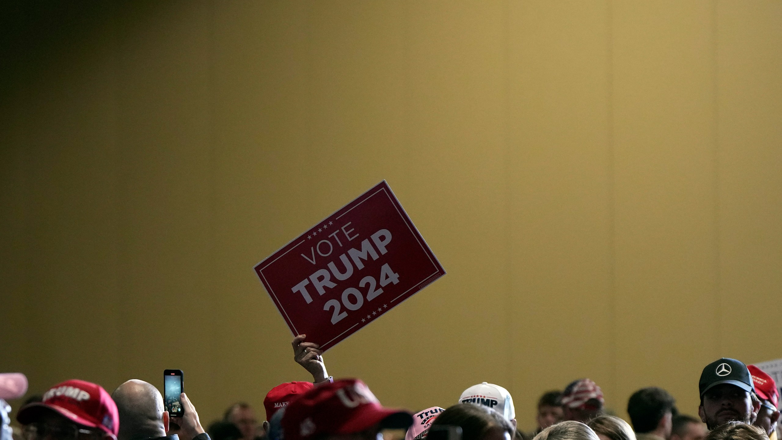 A supporters holds up a sign as Republican presidential candidate former President Donald Trump speaks at a campaign rally at Charleston Area Convention Center in North Charleston, S.C., Wednesday, Feb. 14, 2024. (AP Photo/David Yeazell)