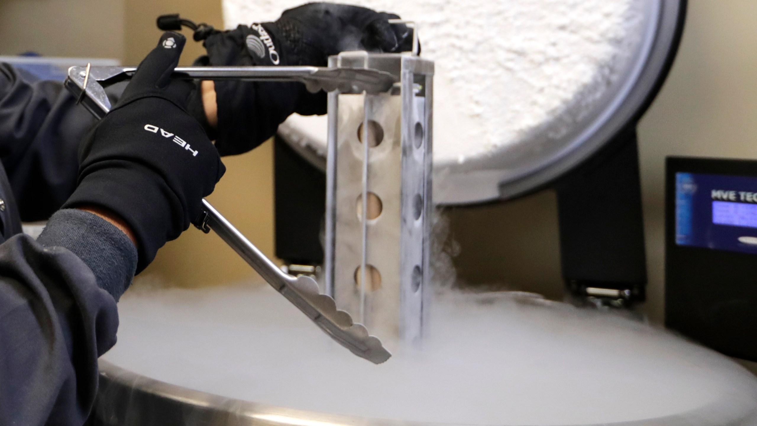 FILE - A container with frozen embryos and sperm stored in liquid nitrogen is removed at a fertility clinic in Fort Myers, Fla., Oct. 2, 2018. Alabama lawmakers are moving fast to approve measures to protect in vitro fertilization clinics from lawsuits in response to an uproar sparked by a state supreme court ruling last month that found that frozen embryos have the rights of children. (AP Photo/Lynne Sladky, File)