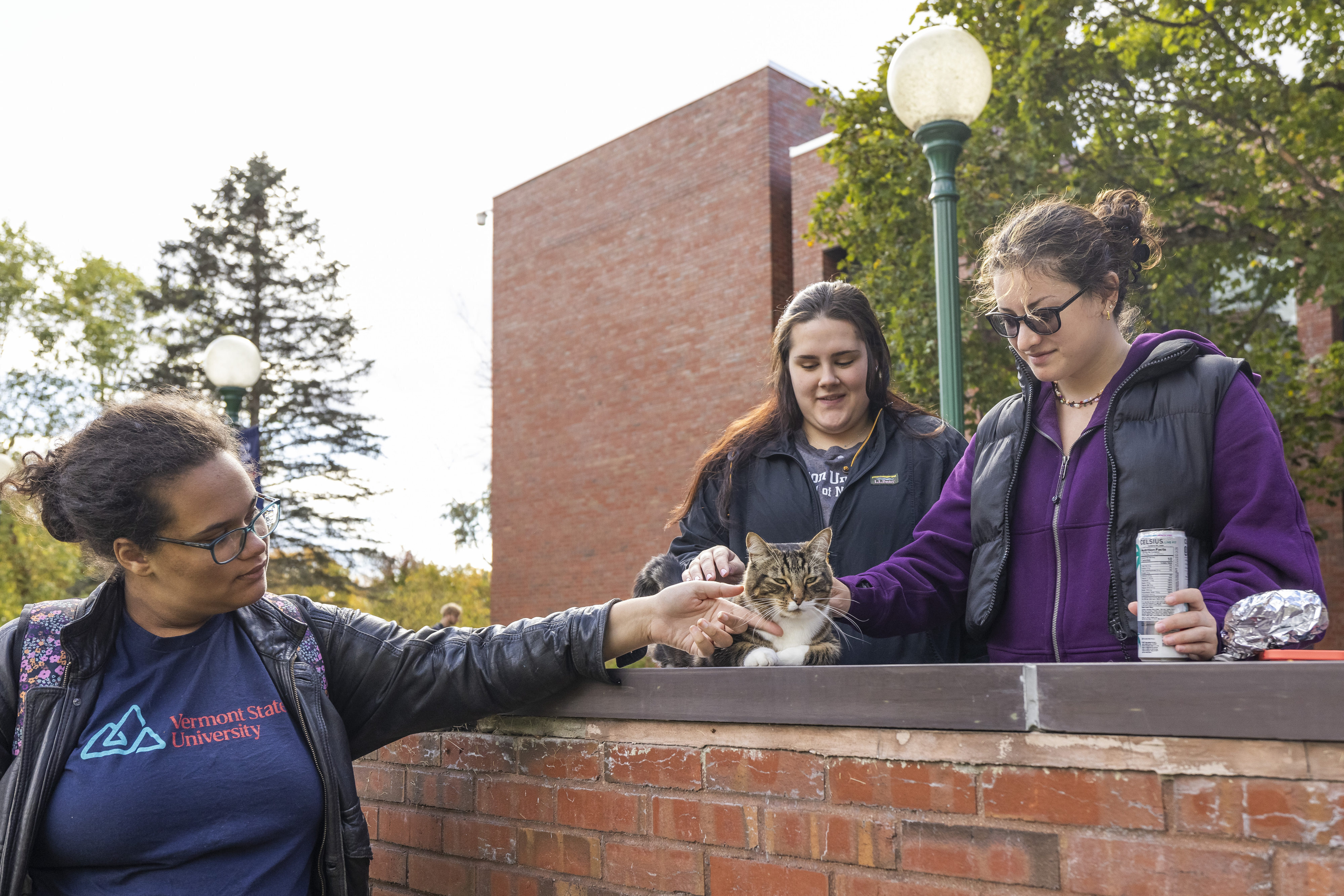 In this photo provided by Vermont State University, students pet Max the Cat in front of Leavenworth Hall at Vermont State University Castleton on Oct. 12, 2023 in Castleton, Vt. Vermont State University's Castleton campus has bestowed the title of “Doctor of Litter-ature” on Max, a beloved member of its community, ahead of students' graduation on Saturday. The school is not honoring the feline for his mousing or napping but rather for friendliness. (Rob Franklin/Vermont State University via AP)