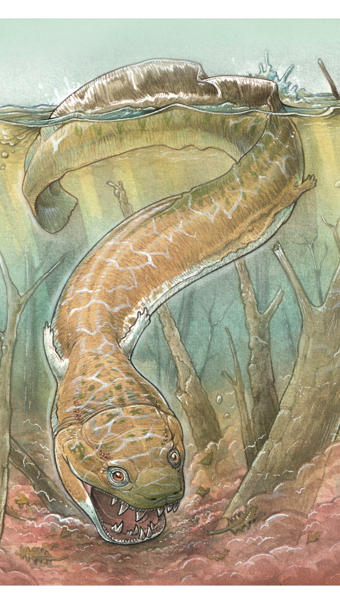 This image provided by Gabriel Lio shows an artistic reconstruction of what the prehistoric salamander-like creature may have looked like. Researchers discovered a giant salamander-like predator that lived about 280 million years ago, using fossils recovered from Namibia. (Gabriel Lio via AP)