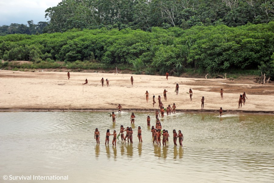 FILE - This June 2024 photo provided by Survival International shows members of the Mashco Piro along Las Piedras River in the Amazon near the community of Monte Salvado, in Madre de Dios province, Peru. (Survival International via AP, File)