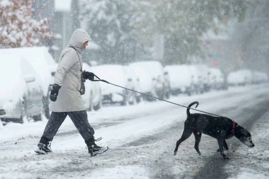 FILE - A woman walks a dog across the street in Denver on Oct. 29, 2023. (AP Photo/David Zalubowski, File)