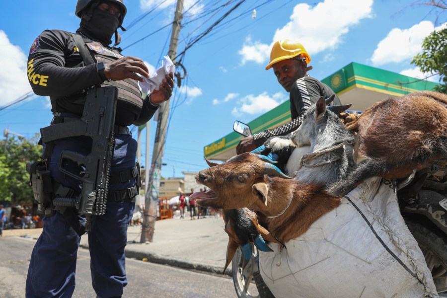 A police officer checks the receipt that shows the purchase of goats being transported on the back of a motorcycle in Port-au-Prince, Haiti, Friday, Sept. 13, 2024. (AP Photo/Odelyn Joseph)