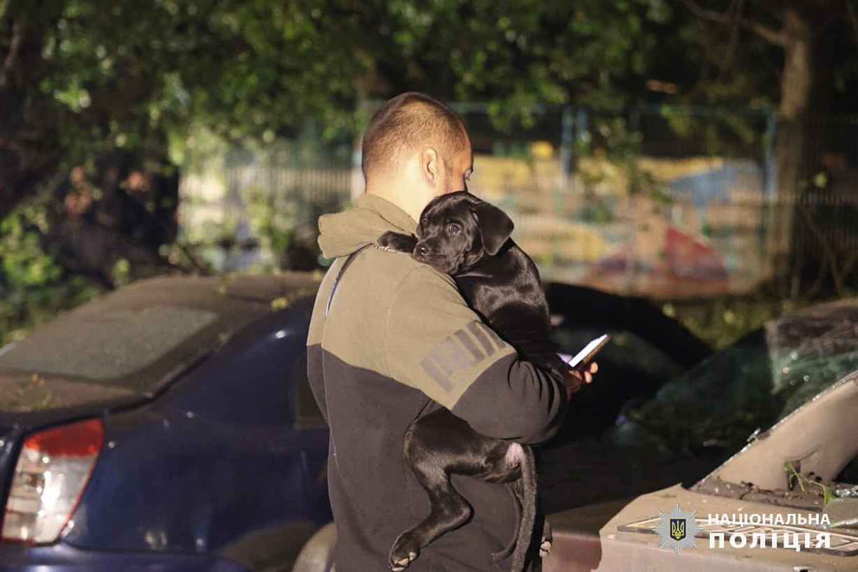 A man holds a puppy near damaged cars after a Russian strike on a residential building in Kharkiv, Ukraine early Sunday Sept. 22, 2024. (Ukrainian National Police via AP)