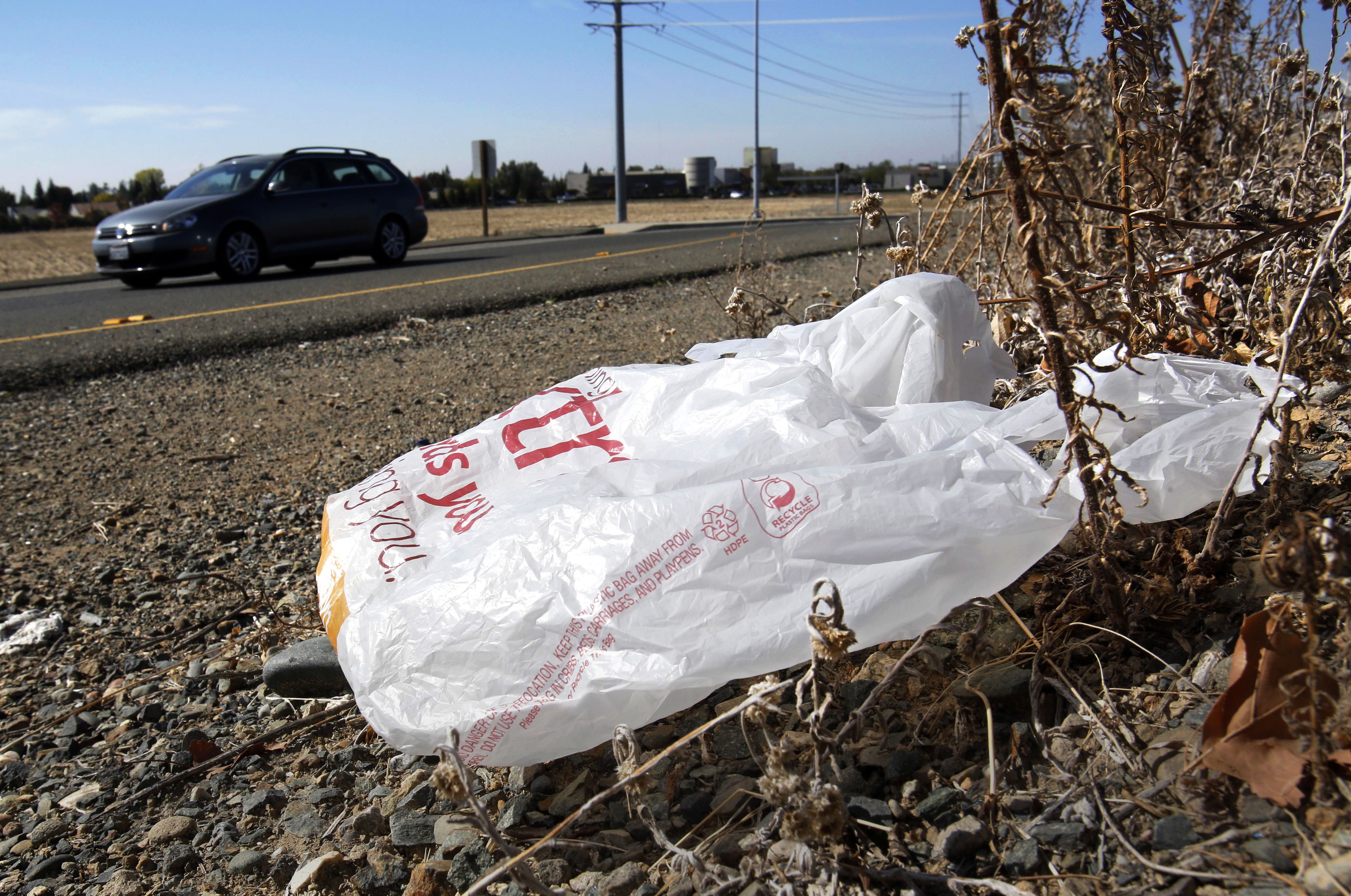 FILE - A plastic bag sits along a roadside in Sacramento, Calif., Oct. 25, 2013. (AP Photo/Rich Pedroncelli, File)