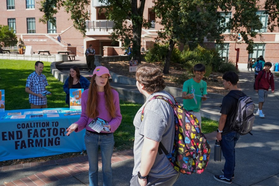 Cassie King, center left, talks to a student at Santa Rosa Junior College about voting yes on Measure J, Monday, Sept. 23, 2024, in Santa Rosa, Calif. (AP Photo/Godofredo A. Vásquez)