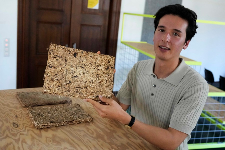 HopfON entrepreneur, Mauricio Fleischer Acuna poses in Munich, Germany, Friday, Sept. 20, 2024. The startup is using the organic waste, some from the hops harvest, to make sustainable building materials like acoustic panels and thermal insulation, with the twofold goal of reducing waste from the construction industry. (AP Photo/Matthias Schrader)