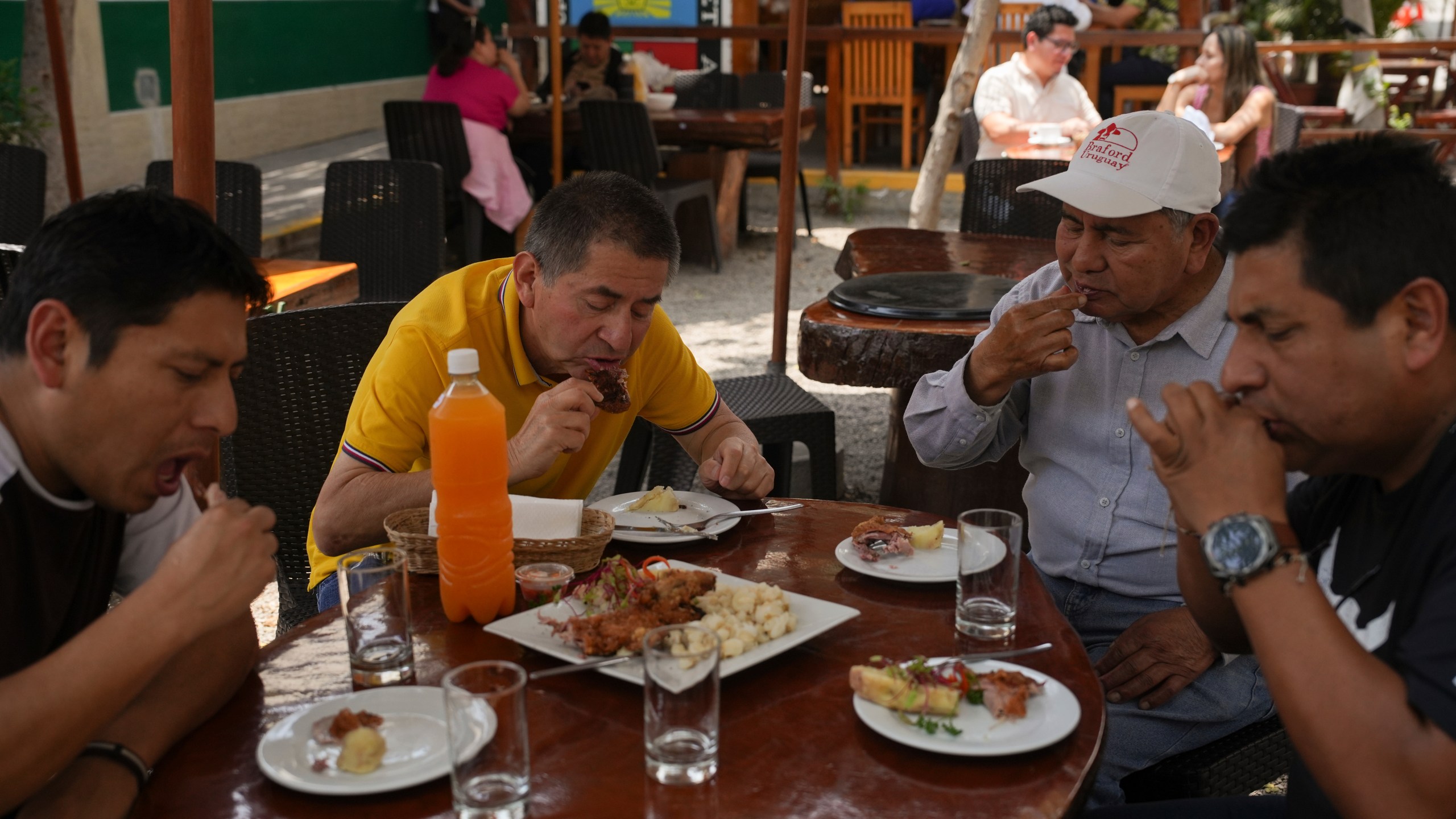 Costumers eat guinea pig at a restaurant in Lima, Peru, Thursday, Oct. 3, 2024. Guinea pigs, locally known as 'cuy,' have been traditionally raised for meat consumption since pre-Inca times. (AP Photo/Guadalupe Pardo)