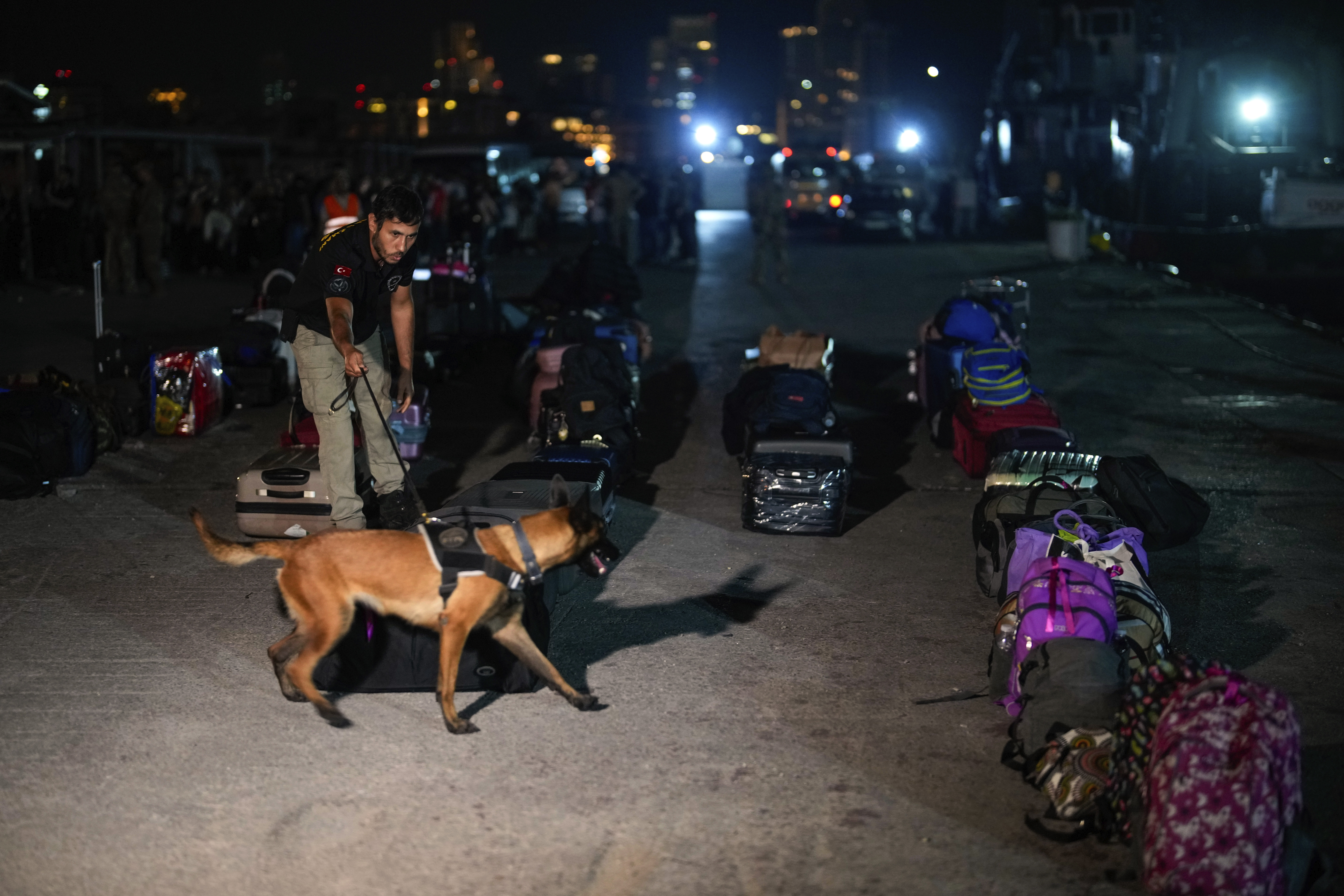 An explosives detection dog inspects luggage of Turkish citizens being prepared to be evacuated on Turkish military ships from Lebanon to Turkey, in Beirut port, Wednesday, Oct. 9, 2024. (AP Photo/Emrah Gurel)