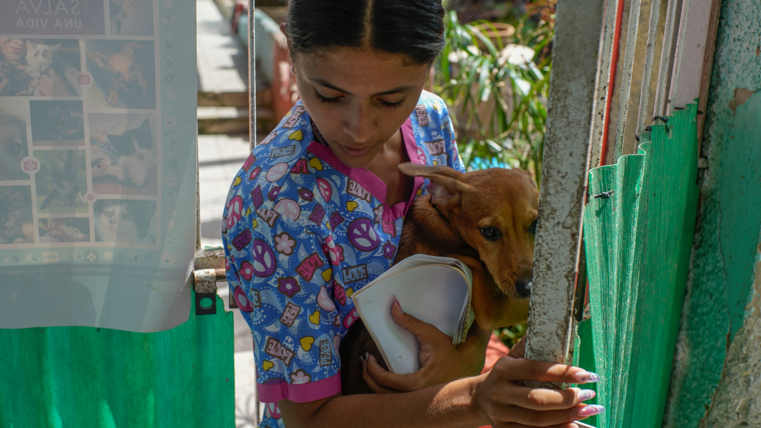 Veterinarian technician Elizabeth Meade, founder of the Adoptions for Love animal shelter, holds Linda in Havana, Cuba, Wednesday, Oct. 2, 2024, on the day the dog was adopted by a new caretaker. (AP Photo/Ramon Espinosa)