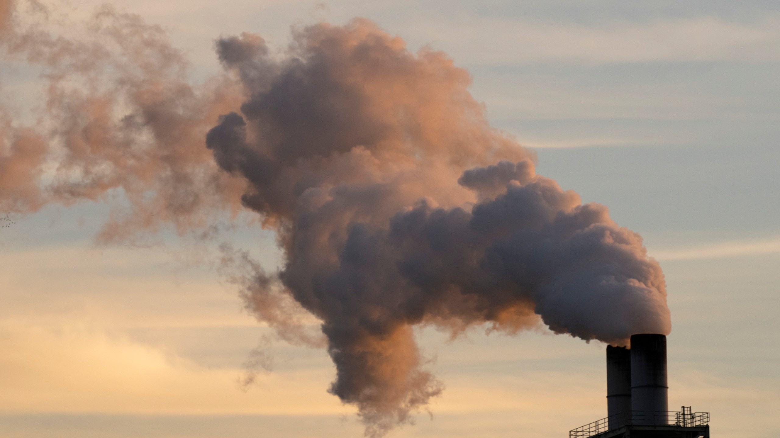 FILE - Steam is seen at the Longview WestRock mill, which makes cardboard materials including container board and corrugated containers, March 14, 2024, in Longview, Wash. (AP Photo/Jenny Kane, File)