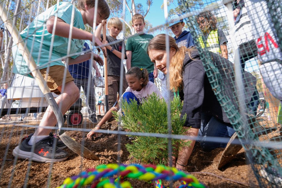 Santiago parent volunteer Stacie Aguesse, right, helps students plant a small Giant Sequoia tree from NASA's Artemis I Mission's tree seeds that traveled around the moon twice, as NASA scientists, JPL engineers, US Forest Service representatives, and teachers join Santiago STEAM Magnet Elementary School students at a ceremony to plant it after the school was honored in the spring of 2024 to become NASA Moon Tree Stewards in Lake Forest, Calif., on Monday, Oct. 14, 2024. (AP Photo/Damian Dovarganes)