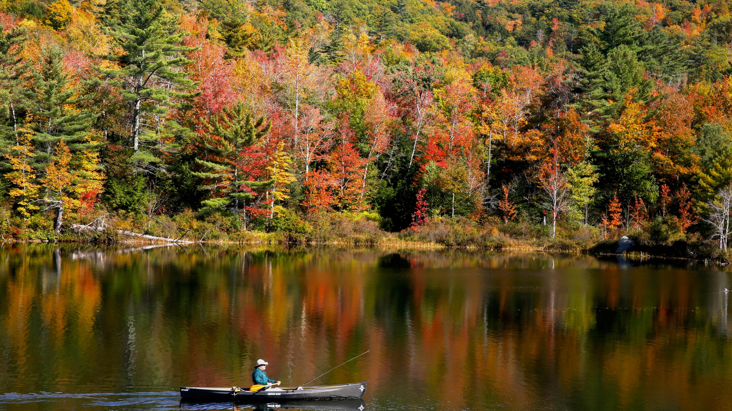 A fly fisherman paddles on a pond as fall foliage begins to show color in Campton, N.H., Sunday, Oct. 6, 2024. (AP Photo/Caleb Jones)