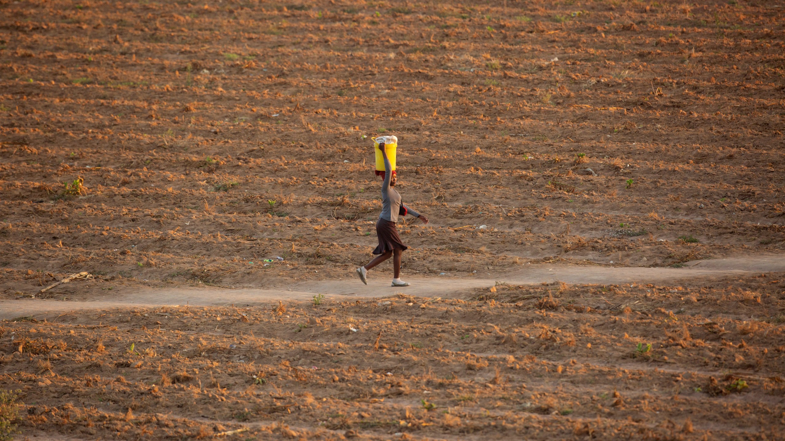 FILE - A woman walks along a path in a drought-stricken field in Zvimba, rural Zimbabwe, Saturday, June, 26, 2021. (AP Photo/Tsvangirayi Mukwazhi, File)