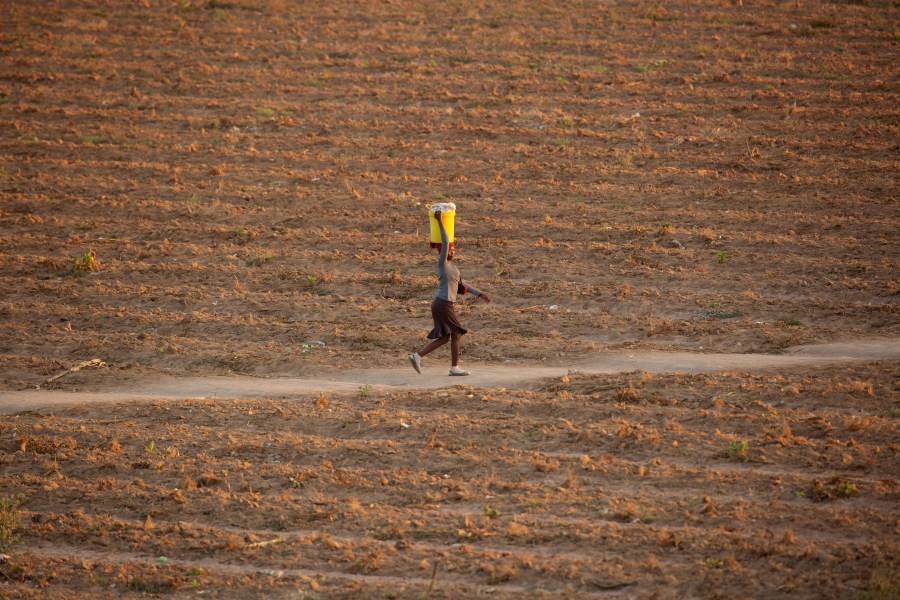 FILE - A woman walks along a path in a drought-stricken field in Zvimba, rural Zimbabwe, Saturday, June, 26, 2021. (AP Photo/Tsvangirayi Mukwazhi, File)