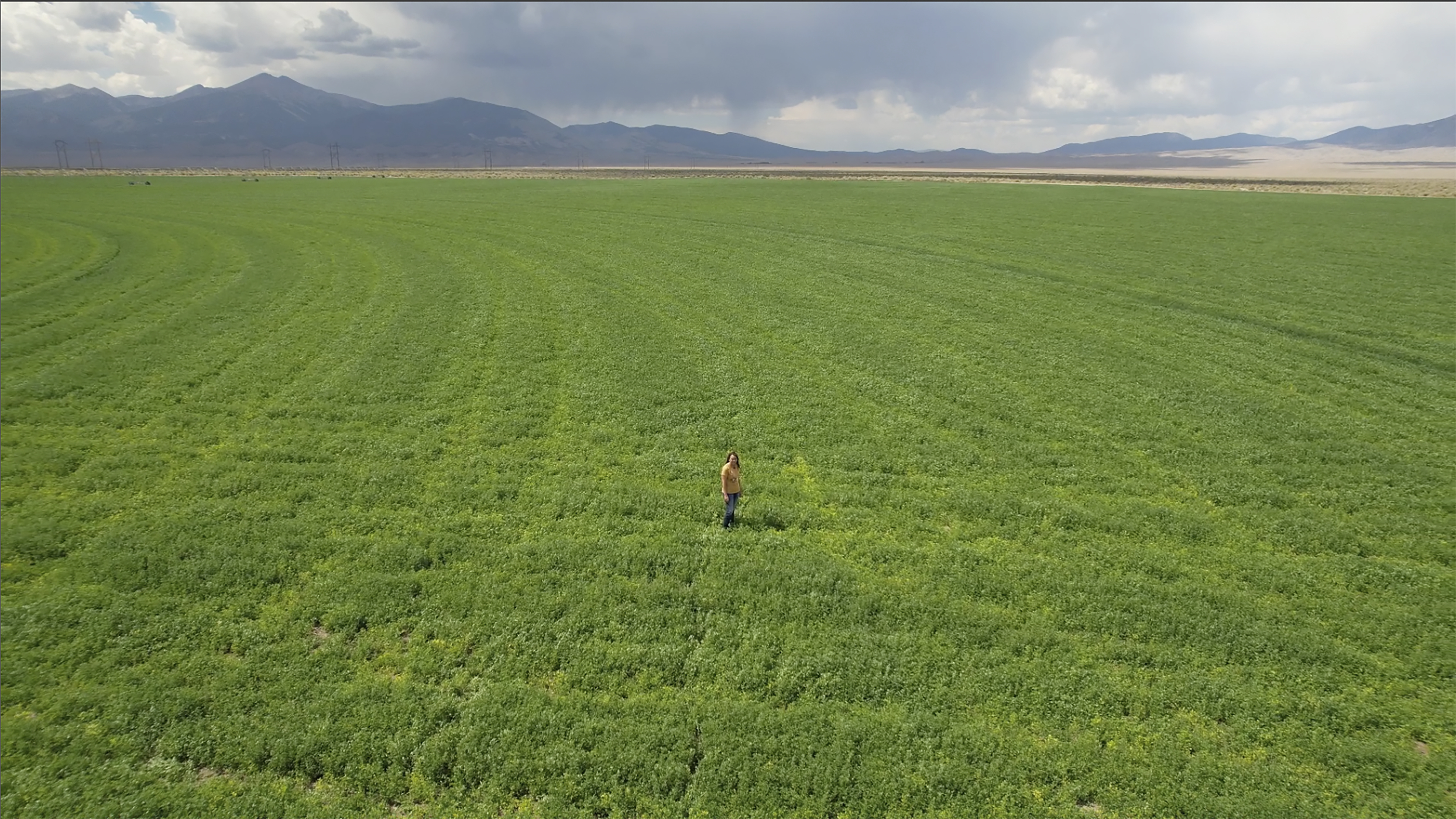 Janille Baker, Baker ranch's controller, stands in a field on the Baker Ranch Monday, Sept. 9, 2024, in Baker, Nevada. (AP Photo/Rick Bowmer)