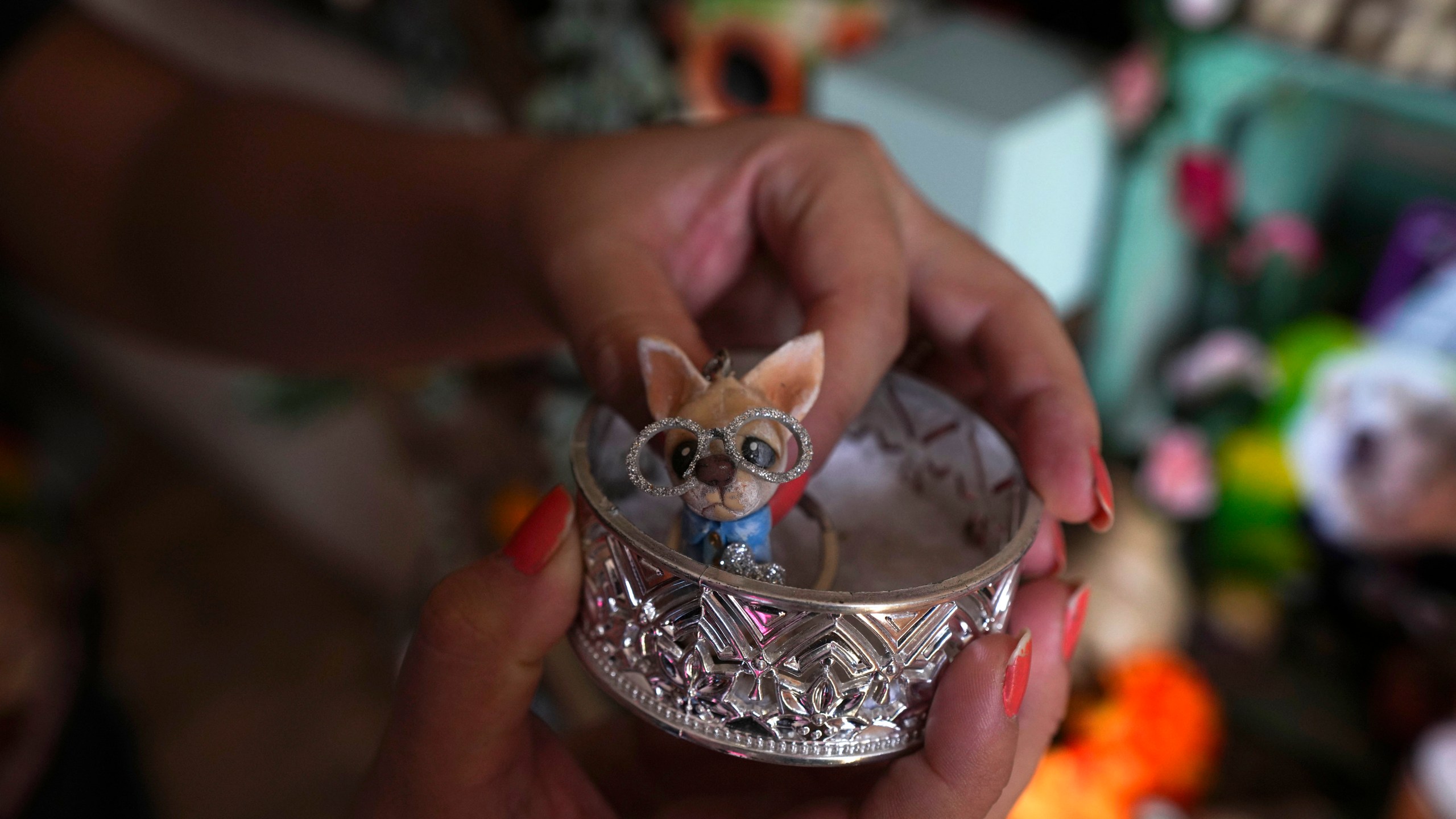 Meztli Lizaola sets a figurine depicting her pet chihuahua Taco into a silver container to be placed on a Day of the Dead altar honoring Taco’s memory, in her home in Mexico City, Wednesday, Oct. 30, 2024. (AP Photo/Fernando Llano)