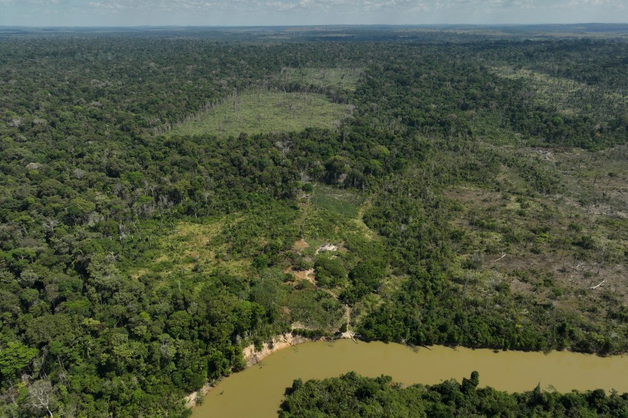 FILE - A river borders an area that has been illegally deforested by land-grabbers and cattle farmers in an extractive reserve in Jaci-Parana, Rondonia state, Brazil, July 11, 2023. (AP Photo/Andre Penner, File)