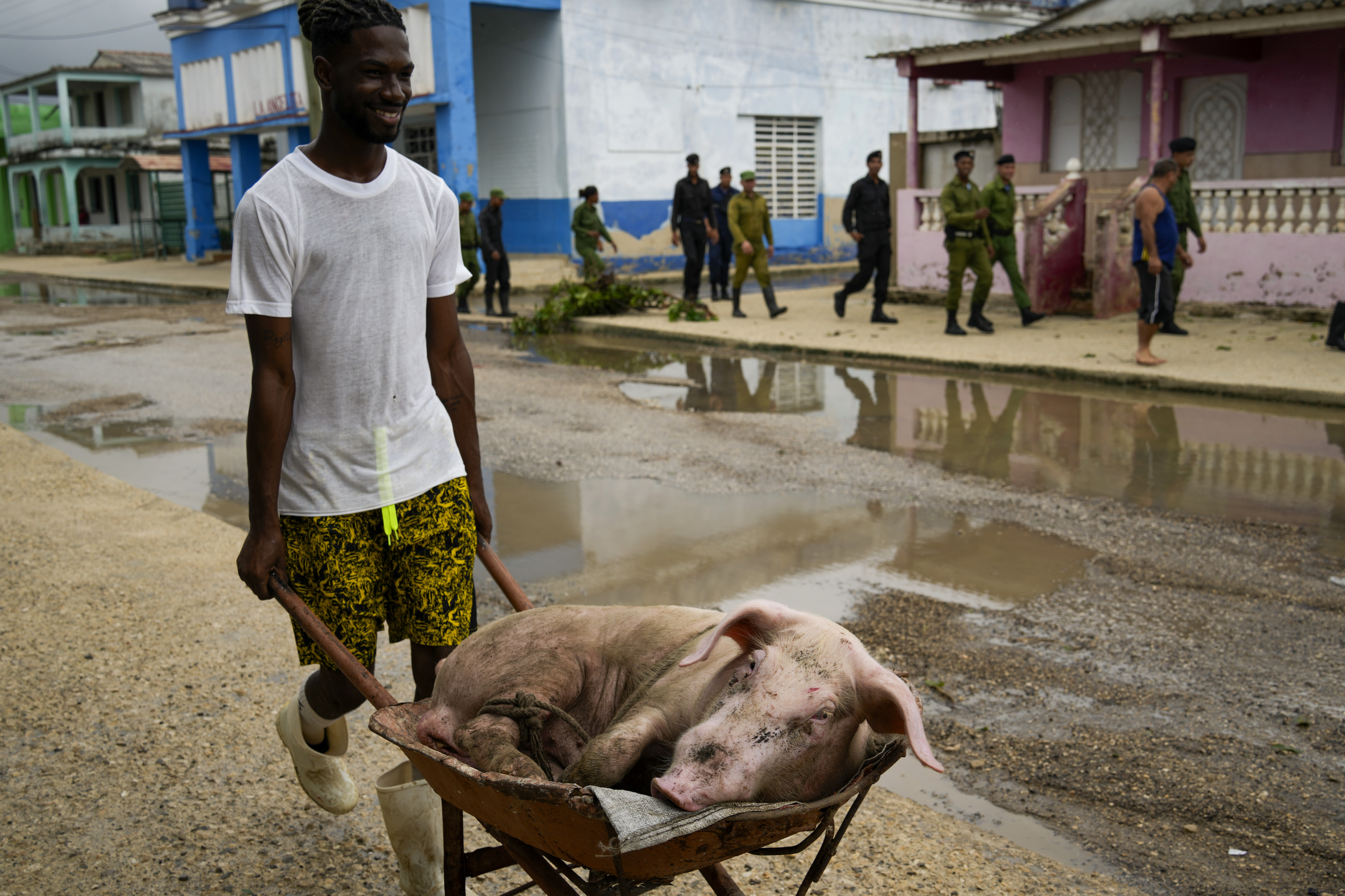 A man pushes his pig back home after taking it to higher ground after Hurricane Rafael passed through Batabano, Cuba, Thursday, Nov. 7, 2024. (AP Photo/Ramon Espinosa)