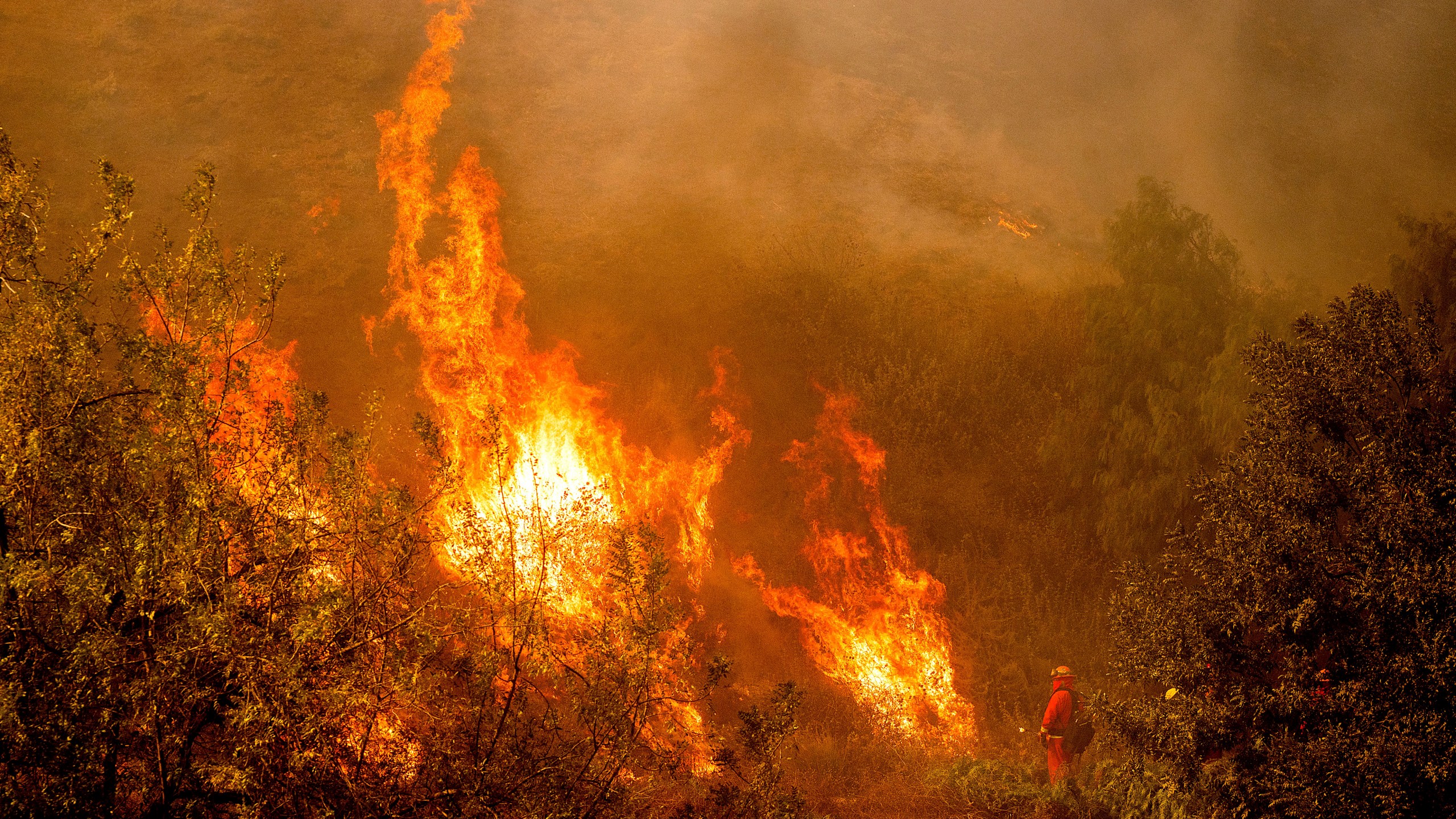 A firefighter battling the Mountain Fire watches flames from a firing operation burn off vegetation around Swanhill Farms in Moorpark, Calif., on Thursday, Nov. 7, 2024. (AP Photo/Noah Berger)