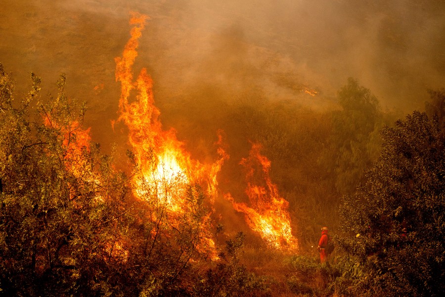 A firefighter battling the Mountain Fire watches flames from a firing operation burn off vegetation around Swanhill Farms in Moorpark, Calif., on Thursday, Nov. 7, 2024. (AP Photo/Noah Berger)