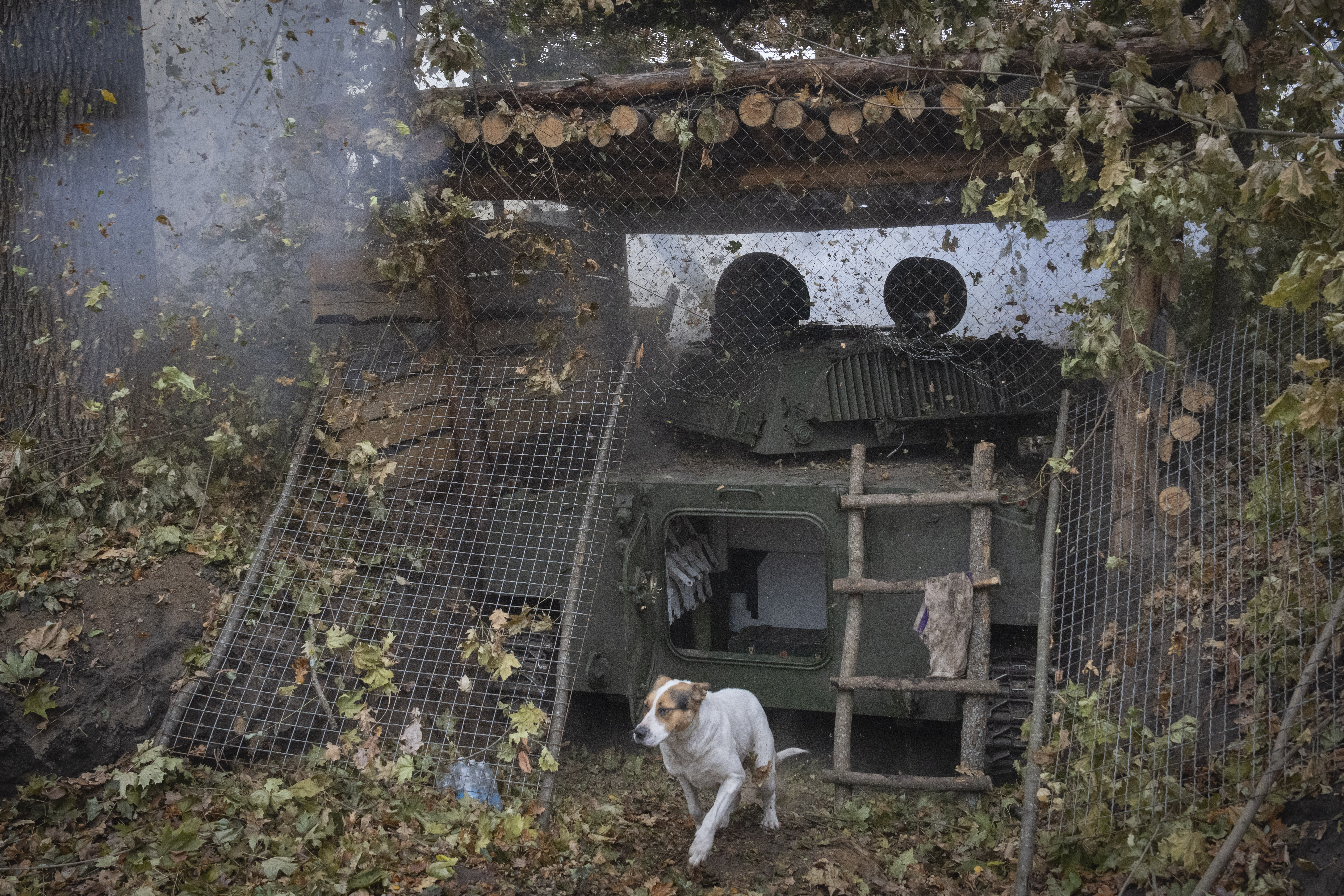 A dog reacts as self-propelled artillery howitzer "Gvozdika" fires towards Russian positions on the frontline in the Kharkiv region, Ukraine, Thursday, Nov. 7, 2024. (AP Photo/Efrem Lukatsky)