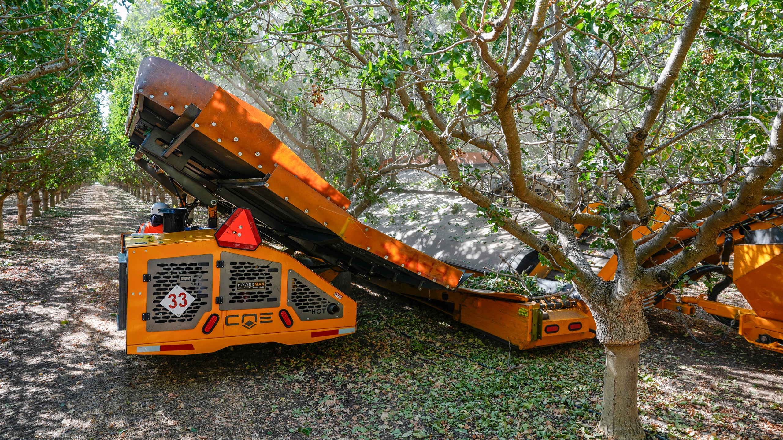 Wonderful Orchards uses two machines to shake pistachio trees during harvest at the Wonderful Pistachios & Almonds orchard in Lost Hills, Calif., on Friday, Oct. 25, 2024. (AP Photo/Damian Dovarganes)