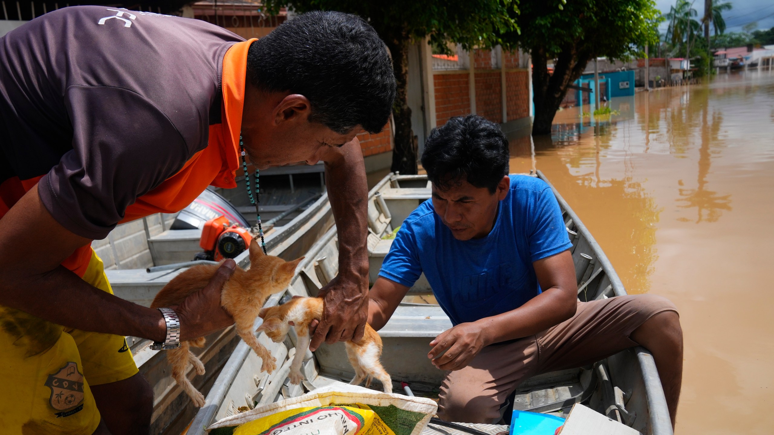 FILE - Residents rescue kittens from the roof of a flooded home in Cobija, Bolivia, Feb. 28, 2024. (AP Photo/Juan Karita, File)