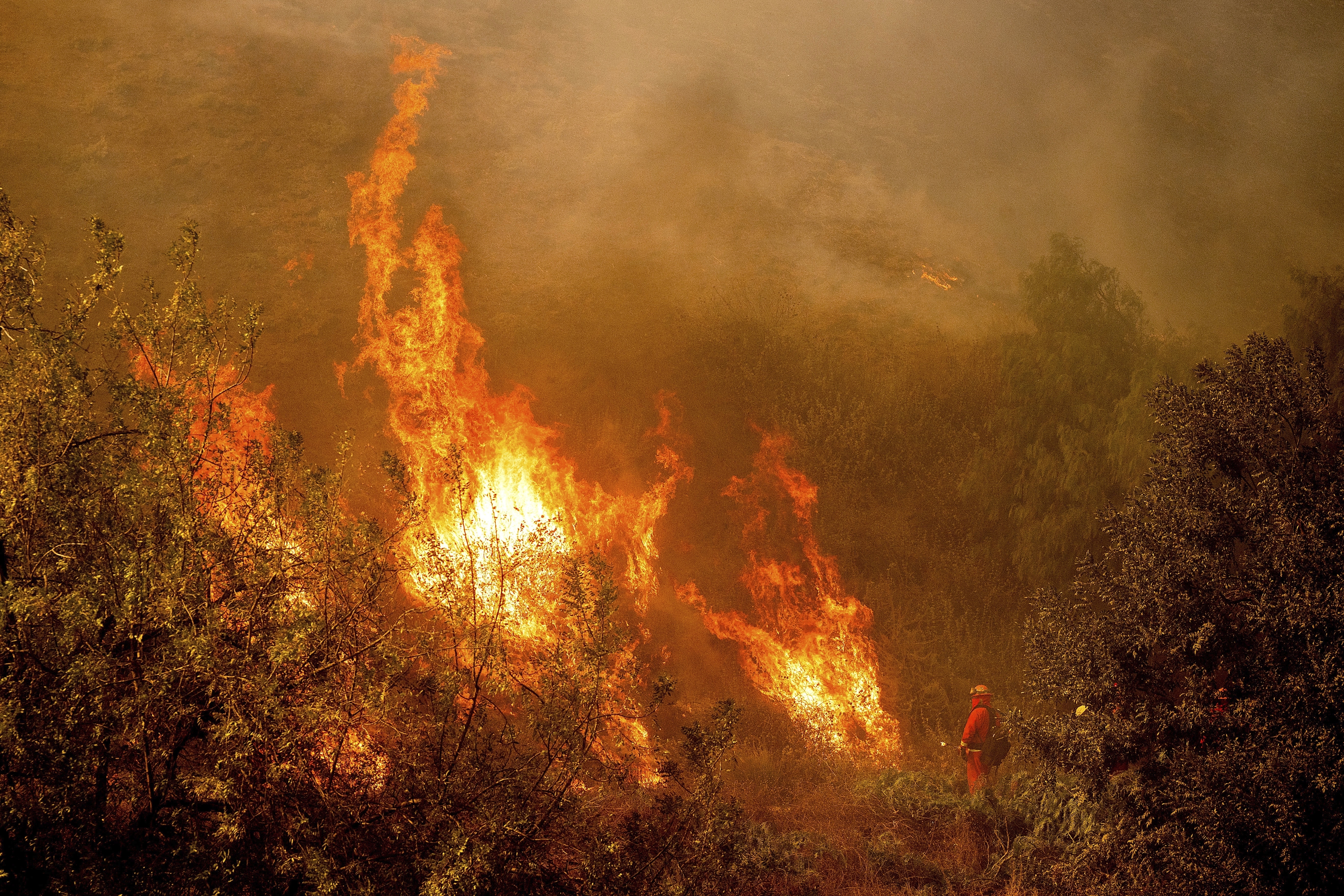 A firefighter battling the Mountain Fire watches flames from a firing operation burn off vegetation around Swanhill Farms in Moorpark, Calif., Nov. 7, 2024. (AP Photo/Noah Berger)