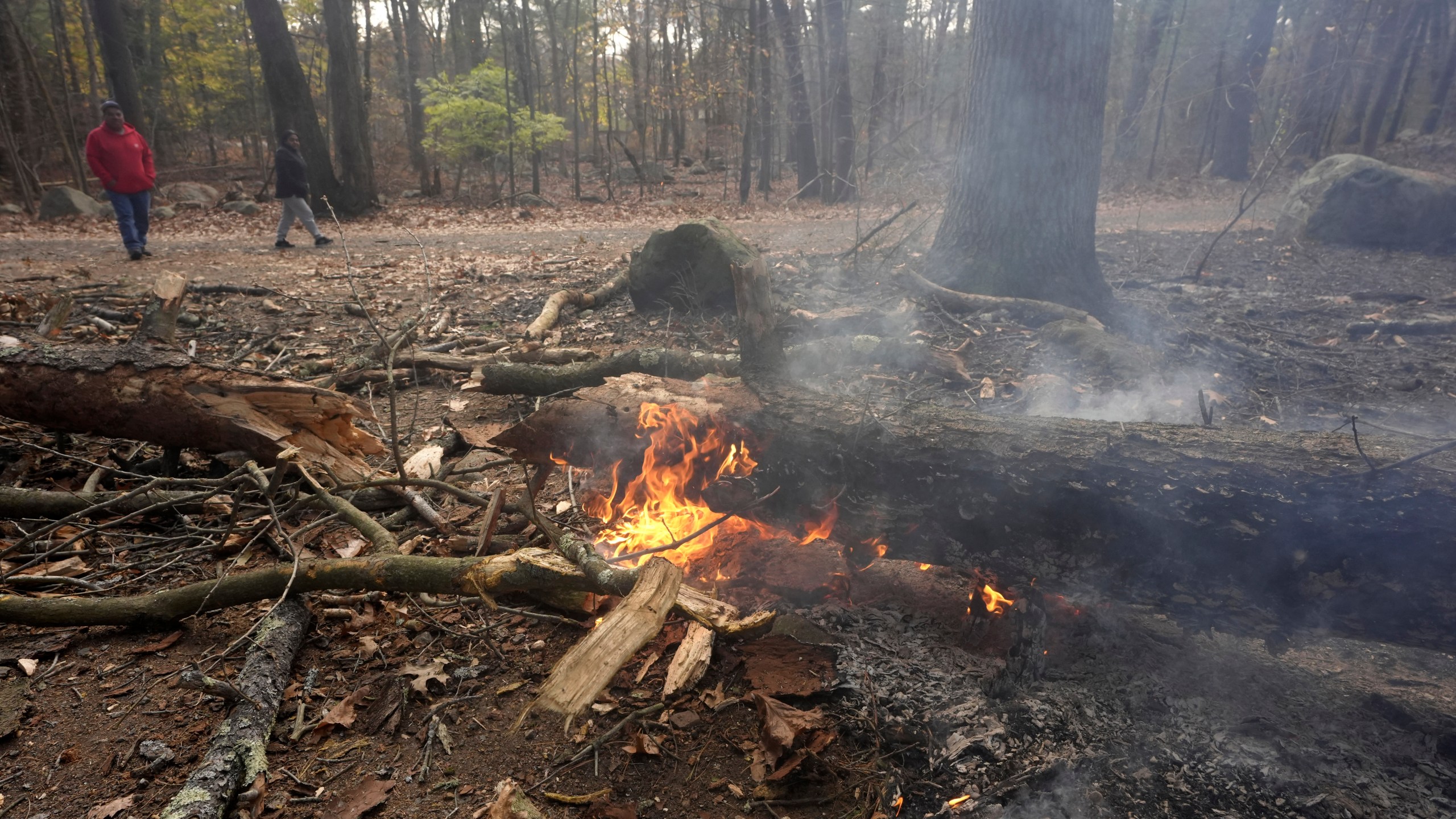 People walk along a path near flames on the forest floor, in Lynn Woods Reservation, Sunday, Nov. 10, 2024, in Lynn, Mass. (AP Photo/Steven Senne)