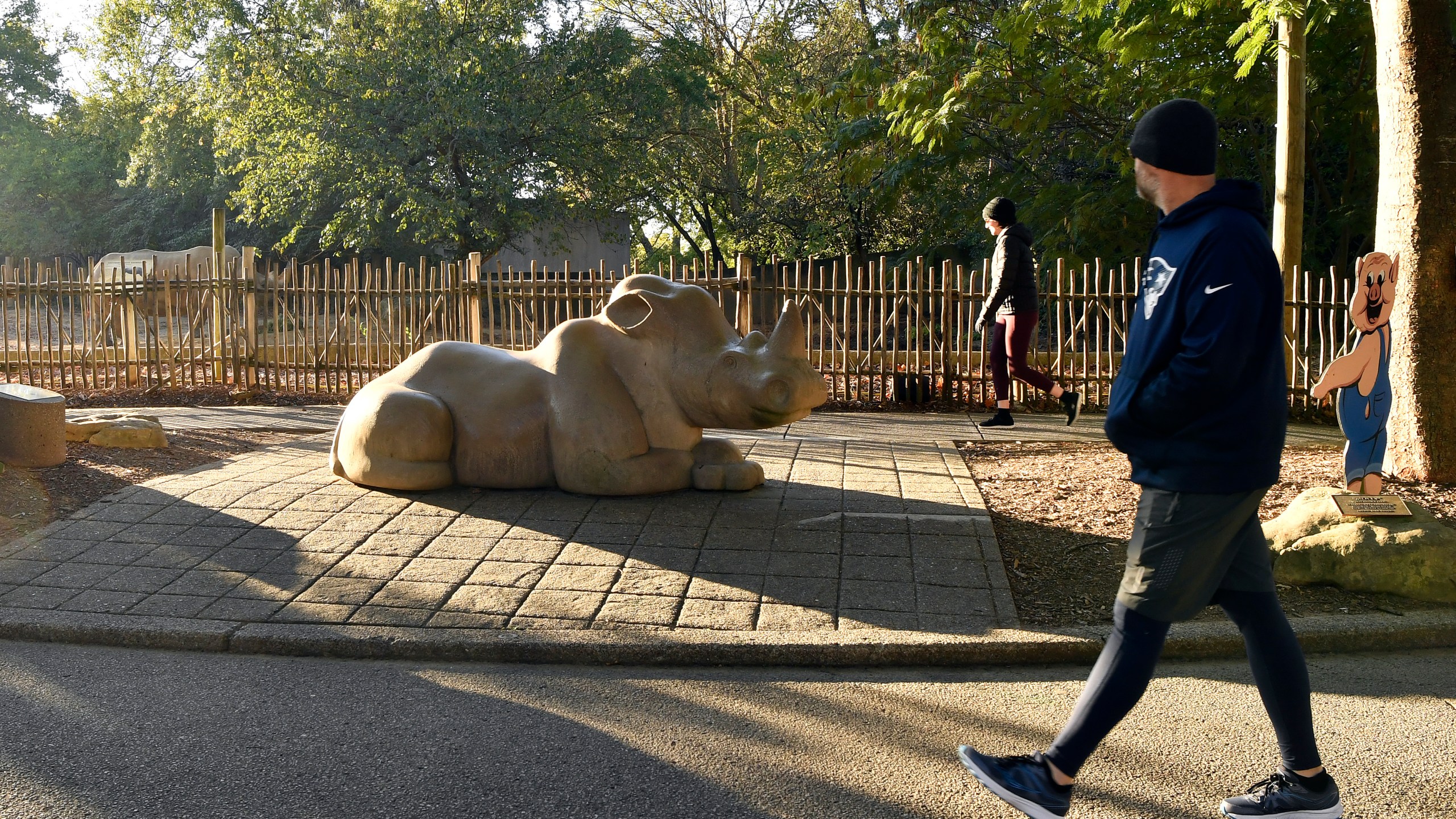 A member of the Get Healthy Walking Club walks past the rhinoceros exhibit in the morning at the Louisville Zoo in Louisville, Ky., Friday, Oct. 18, 2024. (AP Photo/Timothy D. Easley)