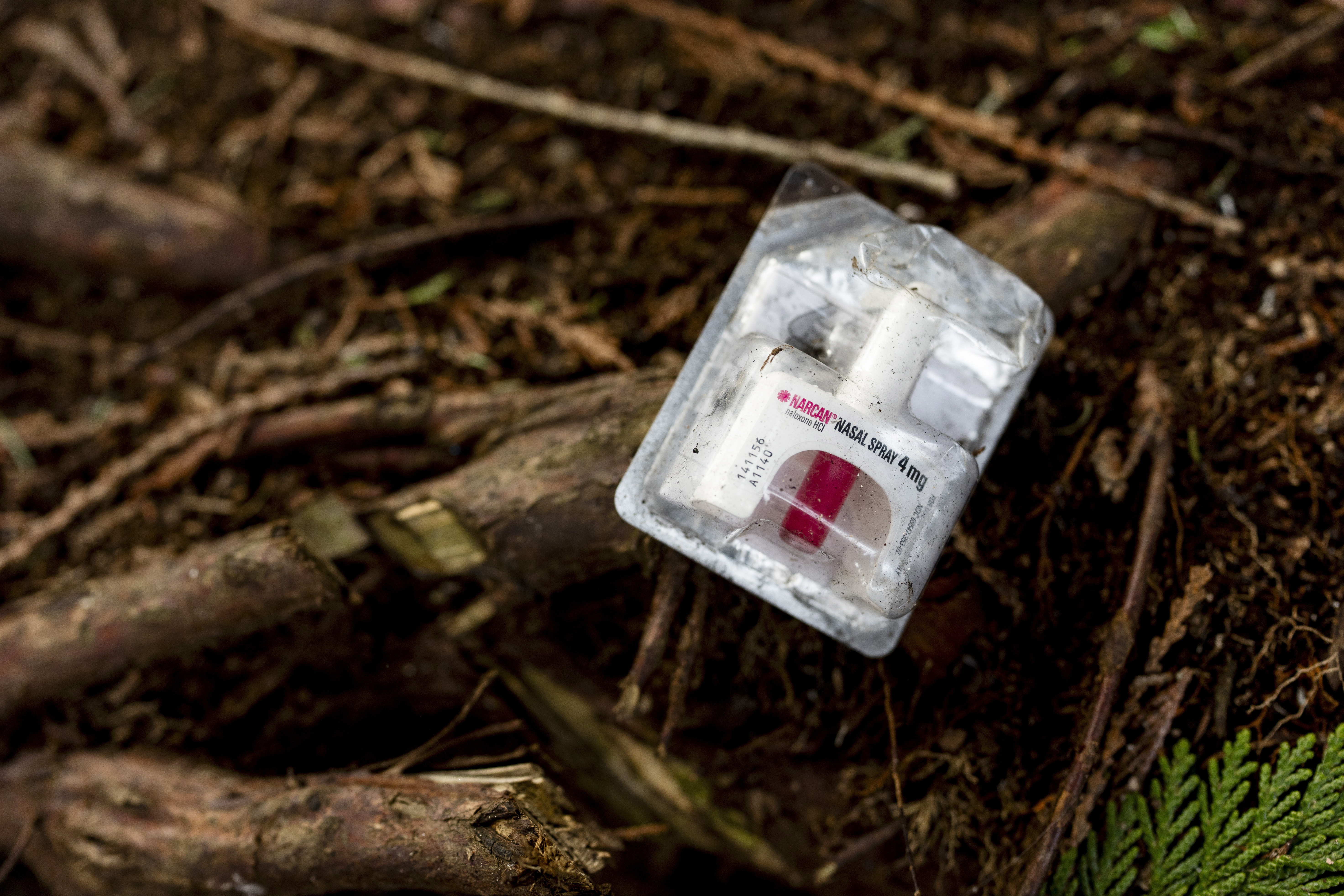 FILE - A container of Narcan, or naloxone, sits on tree roots at a longstanding homeless encampment in Bellingham, Wash., on Thursday, Feb. 8, 2024. (AP Photo/Lindsey Wasson, File)