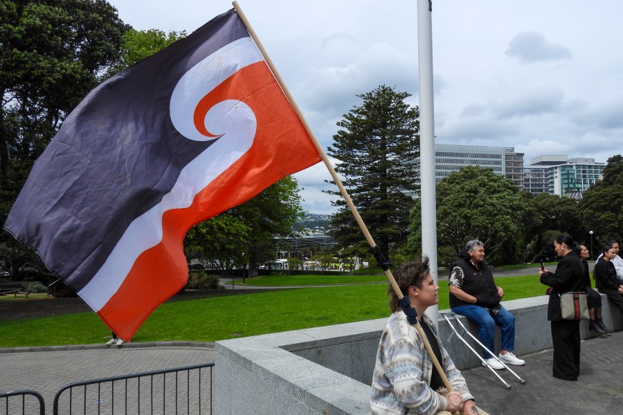 CORRECTING SPELLING OF THE BILL- A protester against the Treaty Principles Bill sits outside Parliament in Wellington, New Zealand, Thursday, Nov. 14, 2024. (AP Photo/Charlotte Graham-McLay)