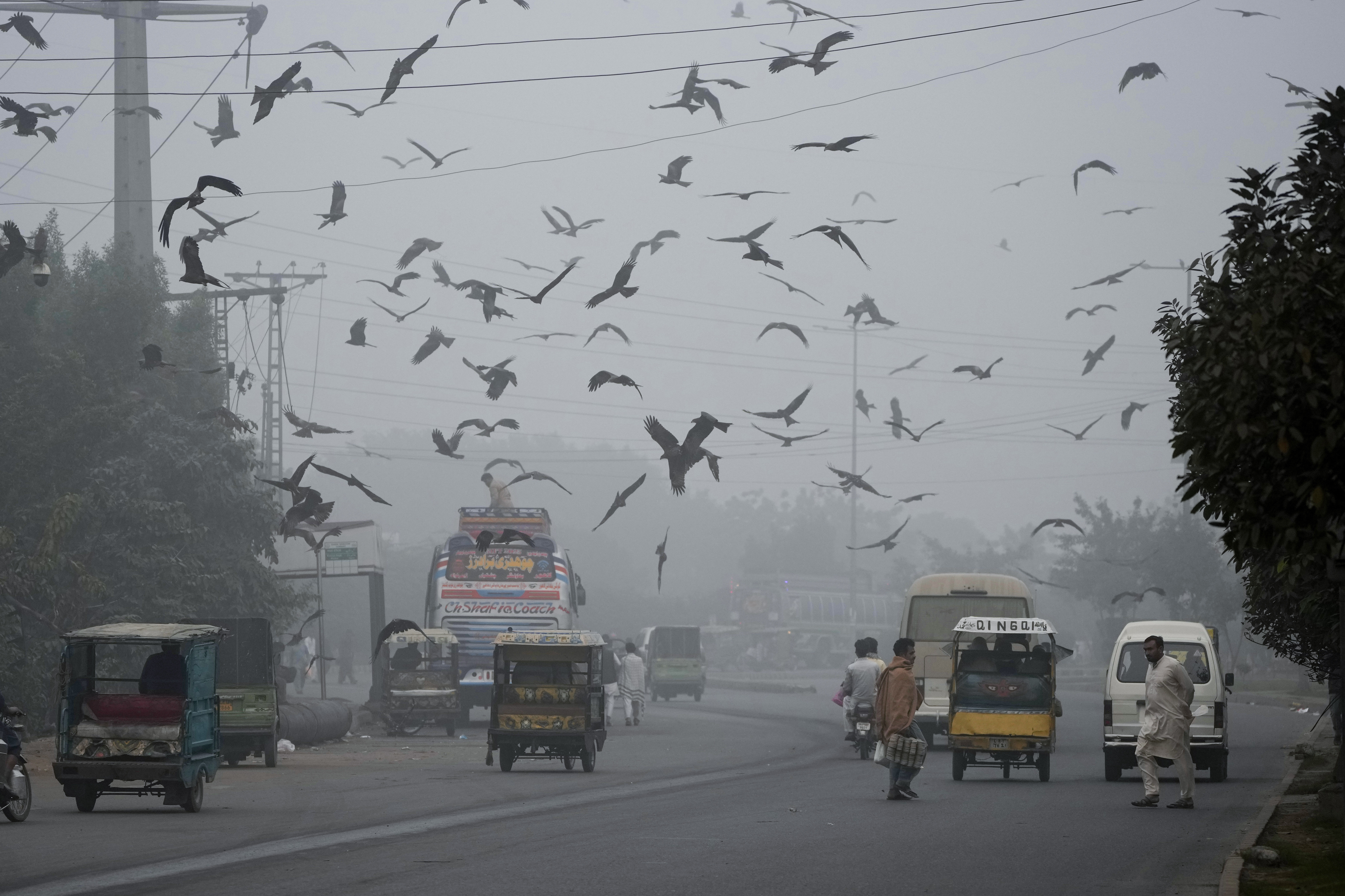 People cross a road as smog envelopes the areas of Lahore, Pakistan, Wednesday, Nov. 13, 2024. (AP Photo/K.M. Chaudary)