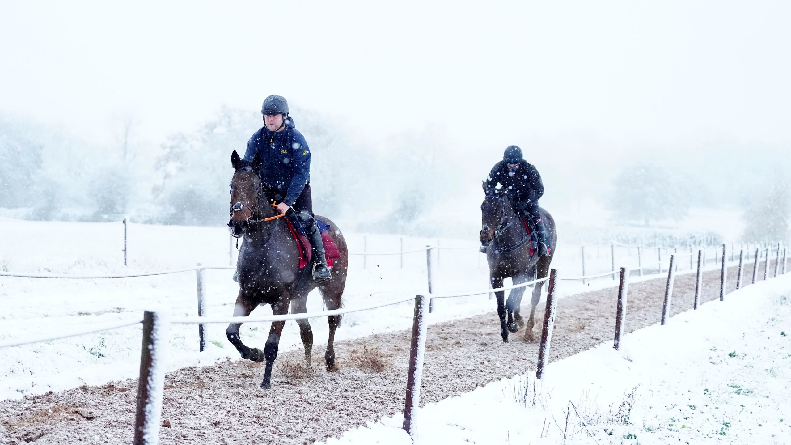 Horses on the gallops during snowfall at Sam Drinkwater's Granary Stables, Strensham, Worcestershire, Britain, Tuesday Nov. 19, 2024. PA (David Davies/PA via AP)