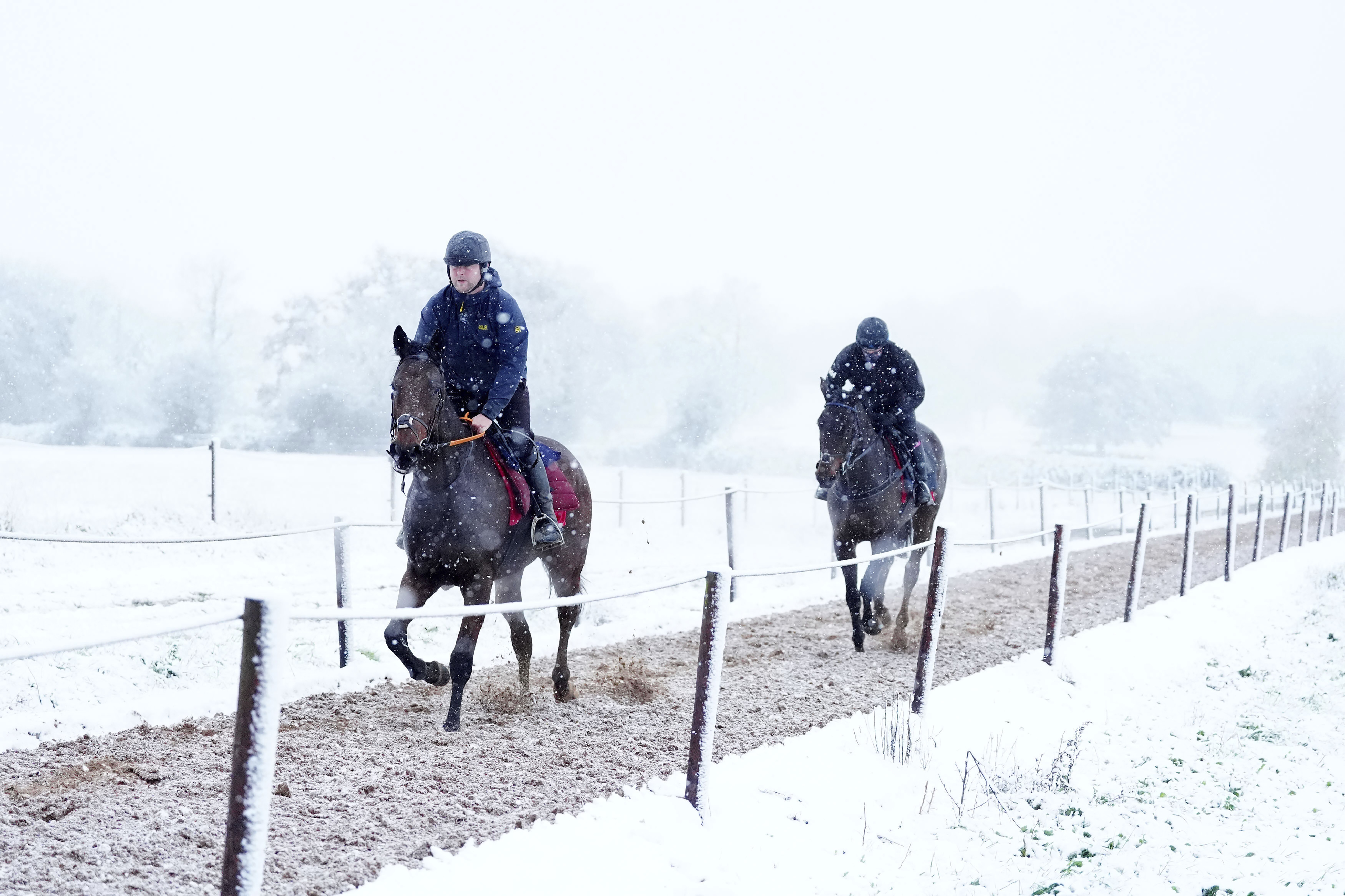 Horses on the gallops during snowfall at Sam Drinkwater's Granary Stables, Strensham, Worcestershire, Britain, Tuesday Nov. 19, 2024. PA (David Davies/PA via AP)