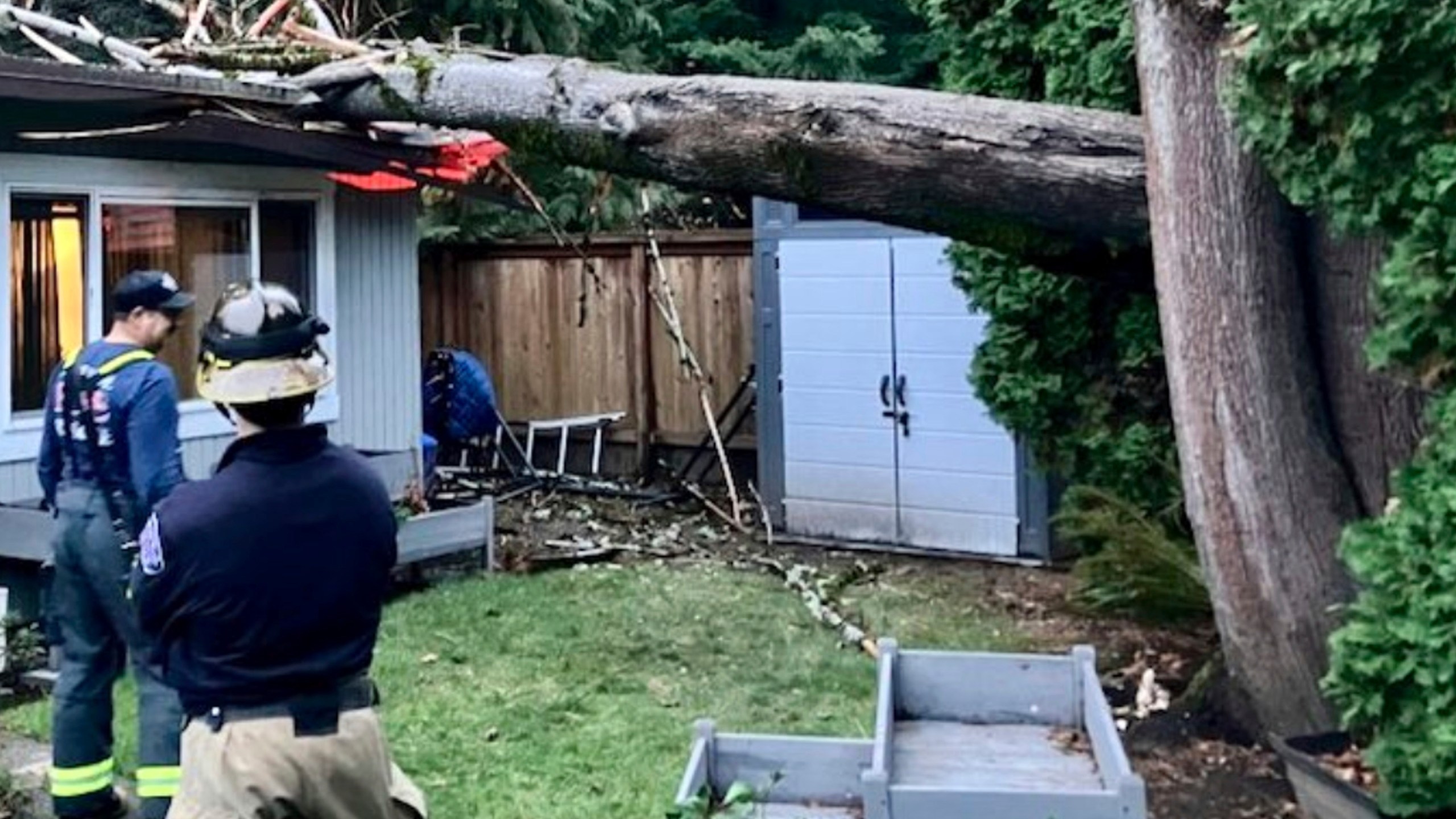 In this image provided by Eastside Fire & Rescue, officials survey the scene where a tree fell on a home in Issaquah, Wash., Tuesday, Nov. 19, 2024. (Eastside Fire & Rescue via AP)