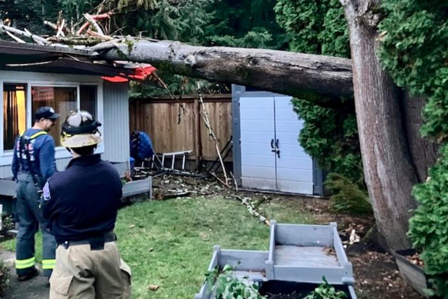 In this image provided by Eastside Fire & Rescue, officials survey the scene where a tree fell on a home in Issaquah, Wash., Tuesday, Nov. 19, 2024. (Eastside Fire & Rescue via AP)