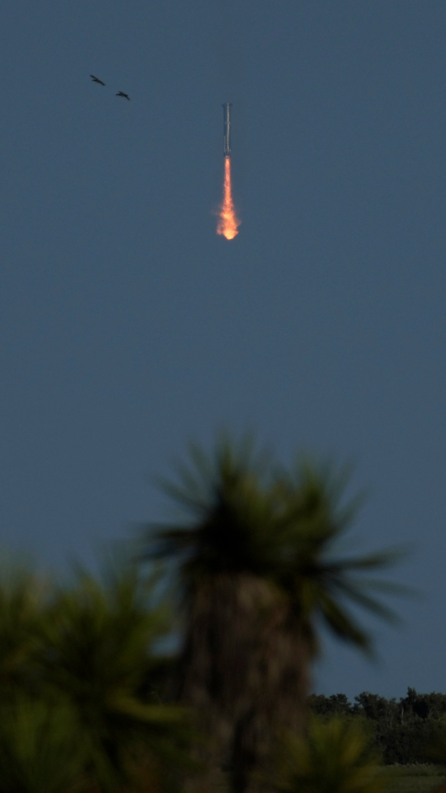 SpaceX's mega rocket booster returns to earth, but not the launch pad at Starbase in Boca Chica, Texas, Tuesday, Nov. 19, 2024. (AP Photo/Eric Gay)