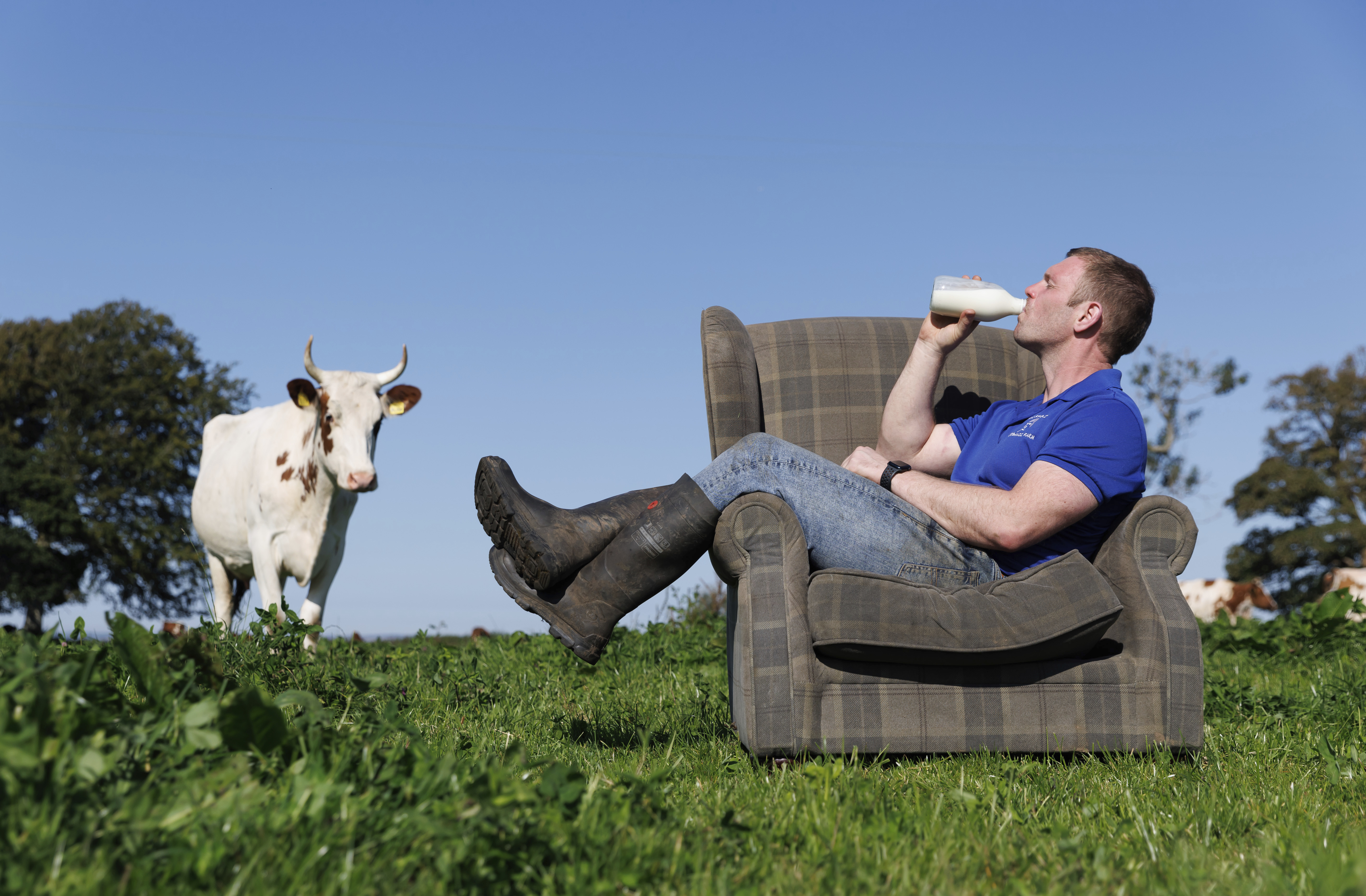 This undated handout photo shows Bryce Cunningham, farmer and owner of Mossgiel Organic Farm near Mauchline, as he poses drinking milk in a field with some of his herd of Ayrshire cows at Mossgiel Organic Farm, Mauchline, Scotland. (Mossgiel Organic Dairy via AP)