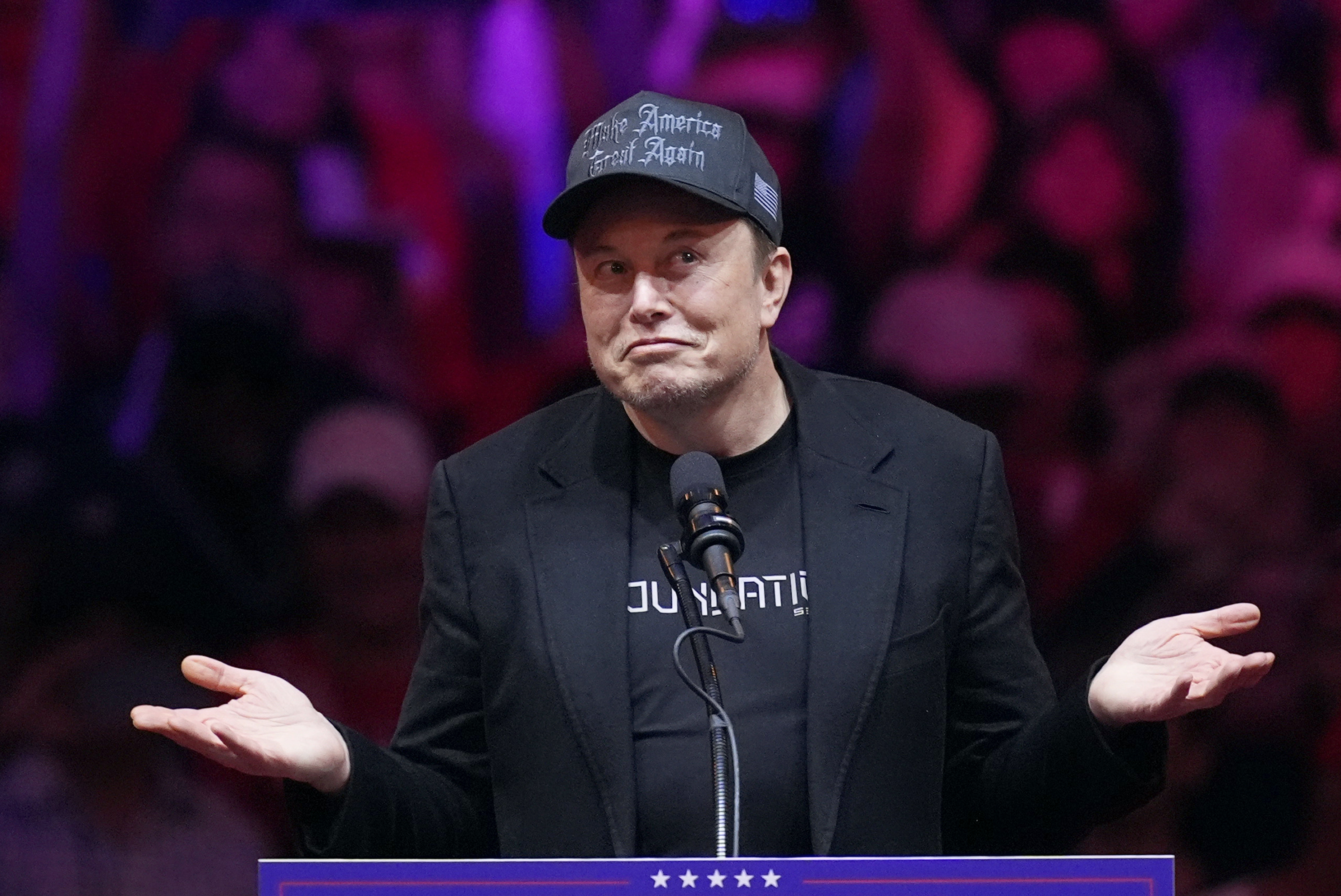 FILE - Elon Musk speaks at a campaign rally, Oct. 27, 2024, in New York. (AP Photo/Evan Vucci, File)