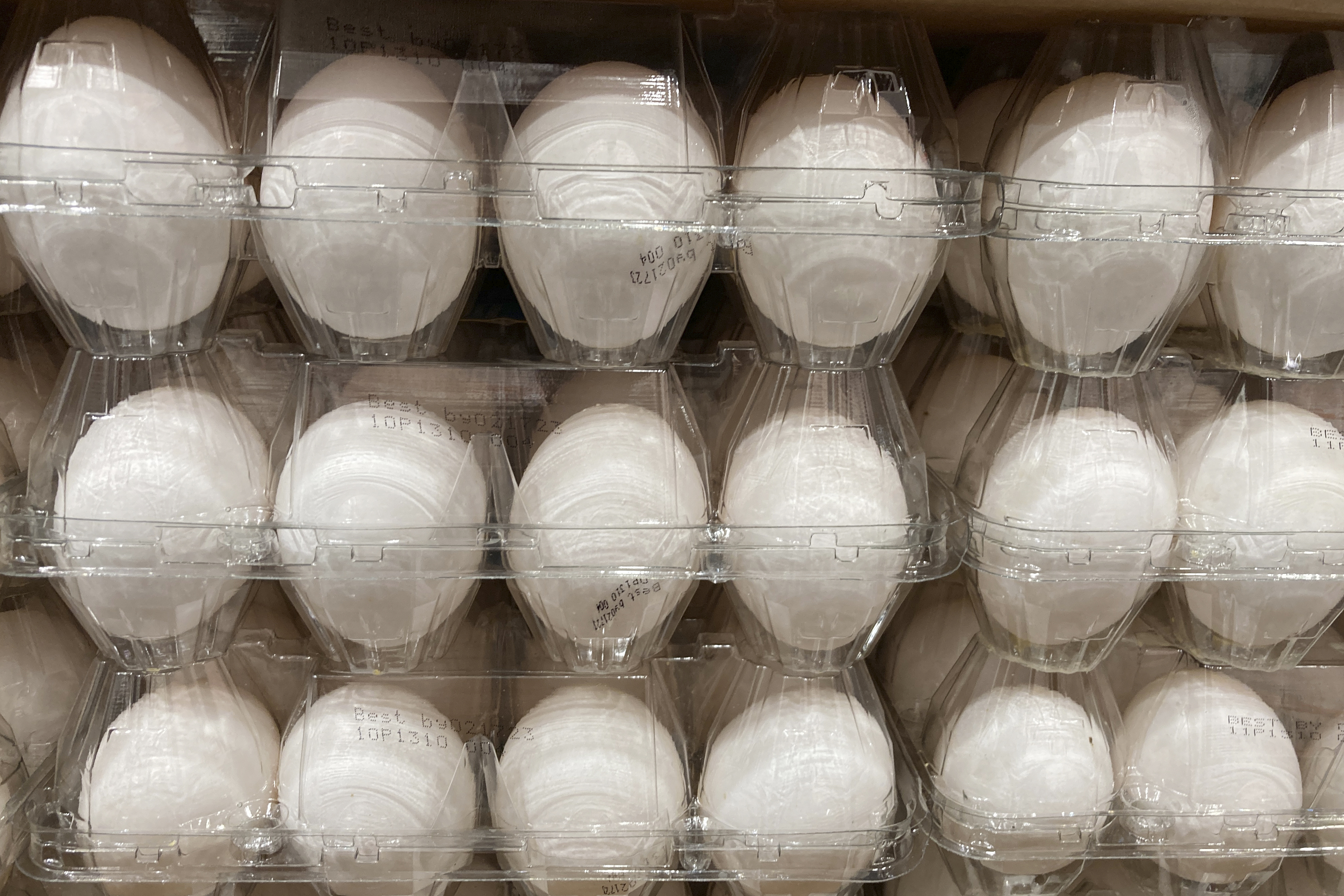 FILE - Cartons of eggs are shown for sale, on Jan. 17, 2023, in North Miami, Fla. (AP Photo/Wilfredo Lee, File)