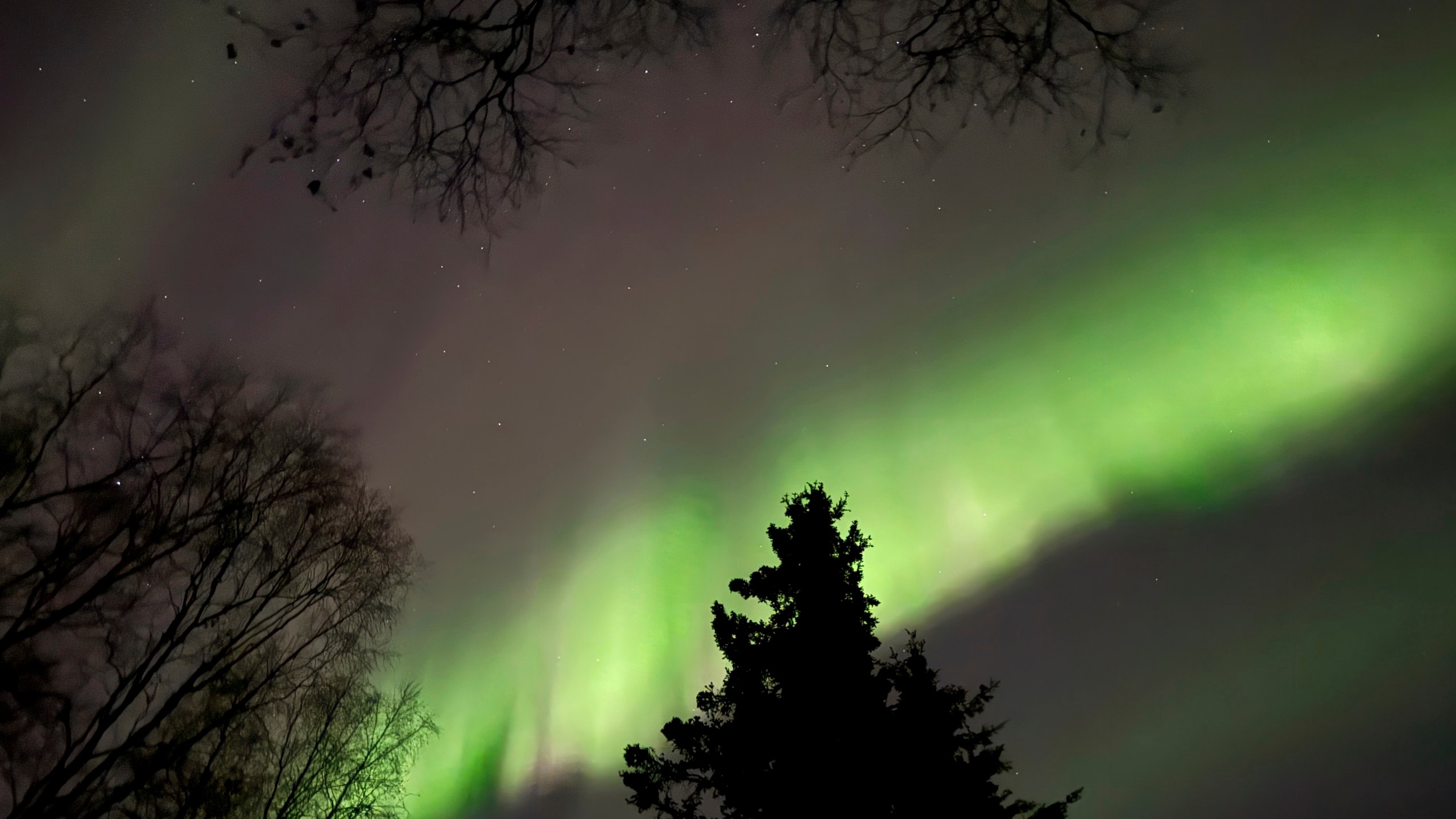 FILE - The northern lights appear over Anchorage, Alaska, early the morning of Friday, Oct.. 11, 2024. (AP Photo/Mark Thiessen, File)