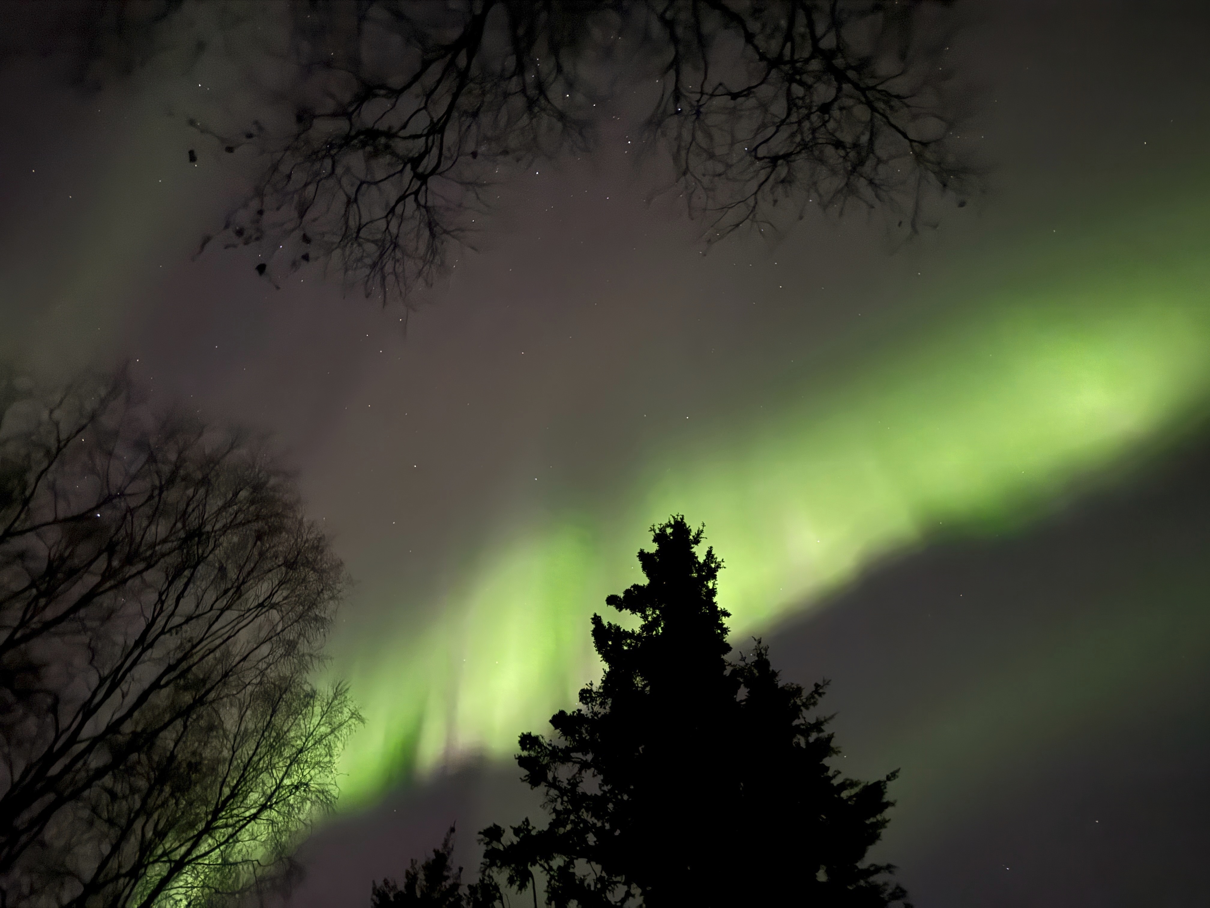 FILE - The northern lights appear over Anchorage, Alaska, early the morning of Friday, Oct.. 11, 2024. (AP Photo/Mark Thiessen, File)