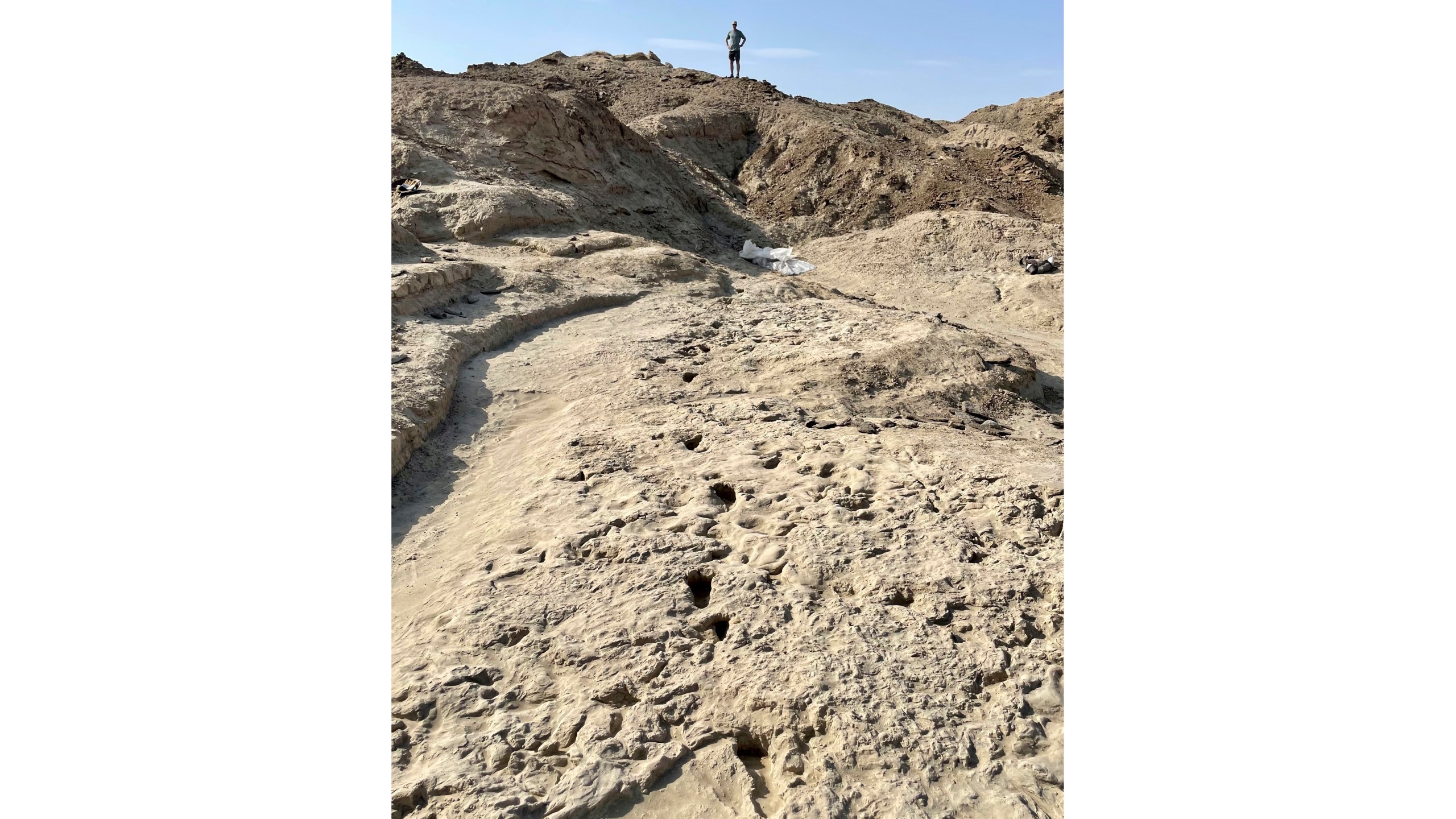 Scientists study fossil footprints for clues about co-existing species of early human ancestors at the excavation site on the eastern side of Lake Turkana in northern Kenya, in 2022. (Neil Thomas Roach via AP)