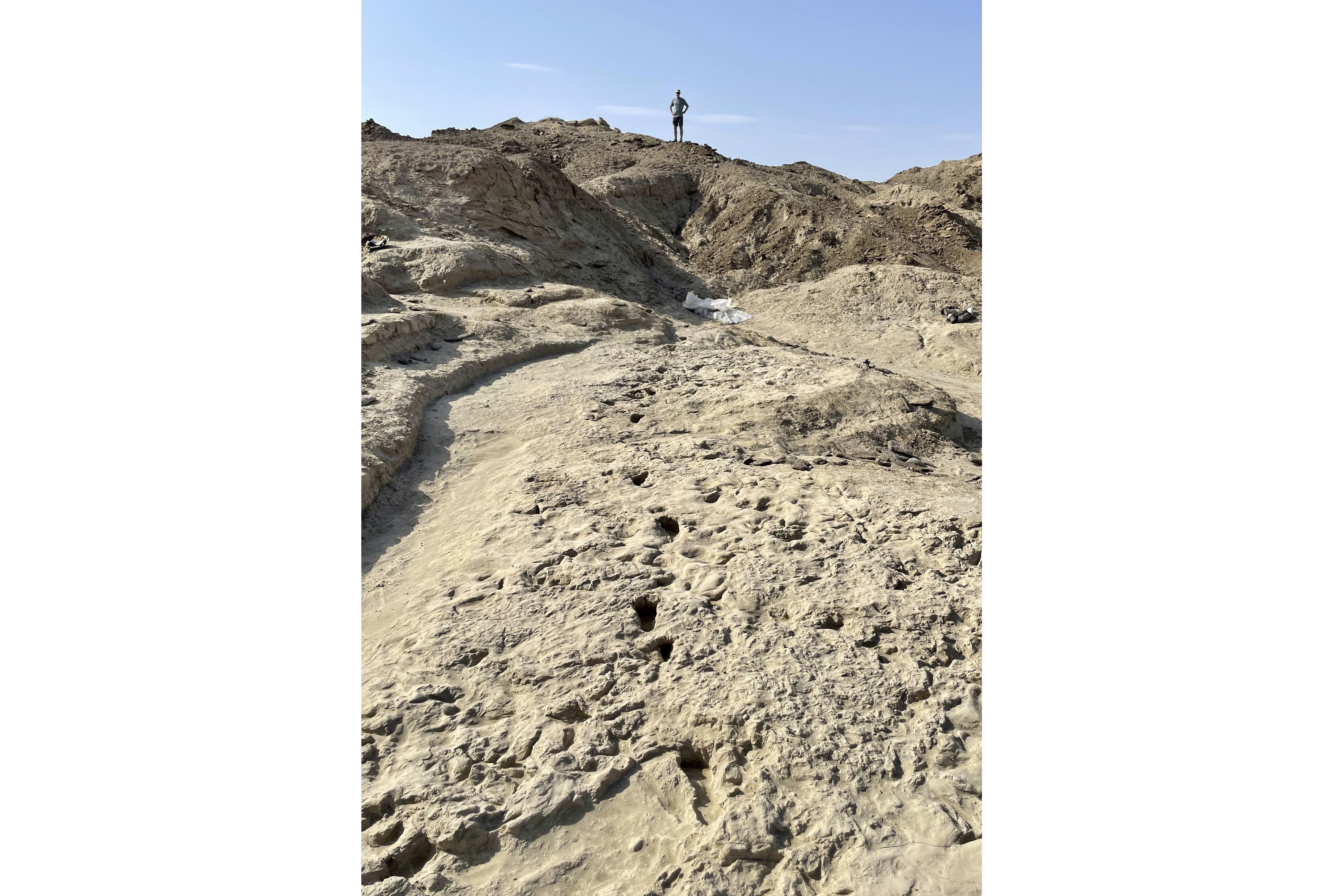 Scientists study fossil footprints for clues about co-existing species of early human ancestors at the excavation site on the eastern side of Lake Turkana in northern Kenya, in 2022. (Neil Thomas Roach via AP)