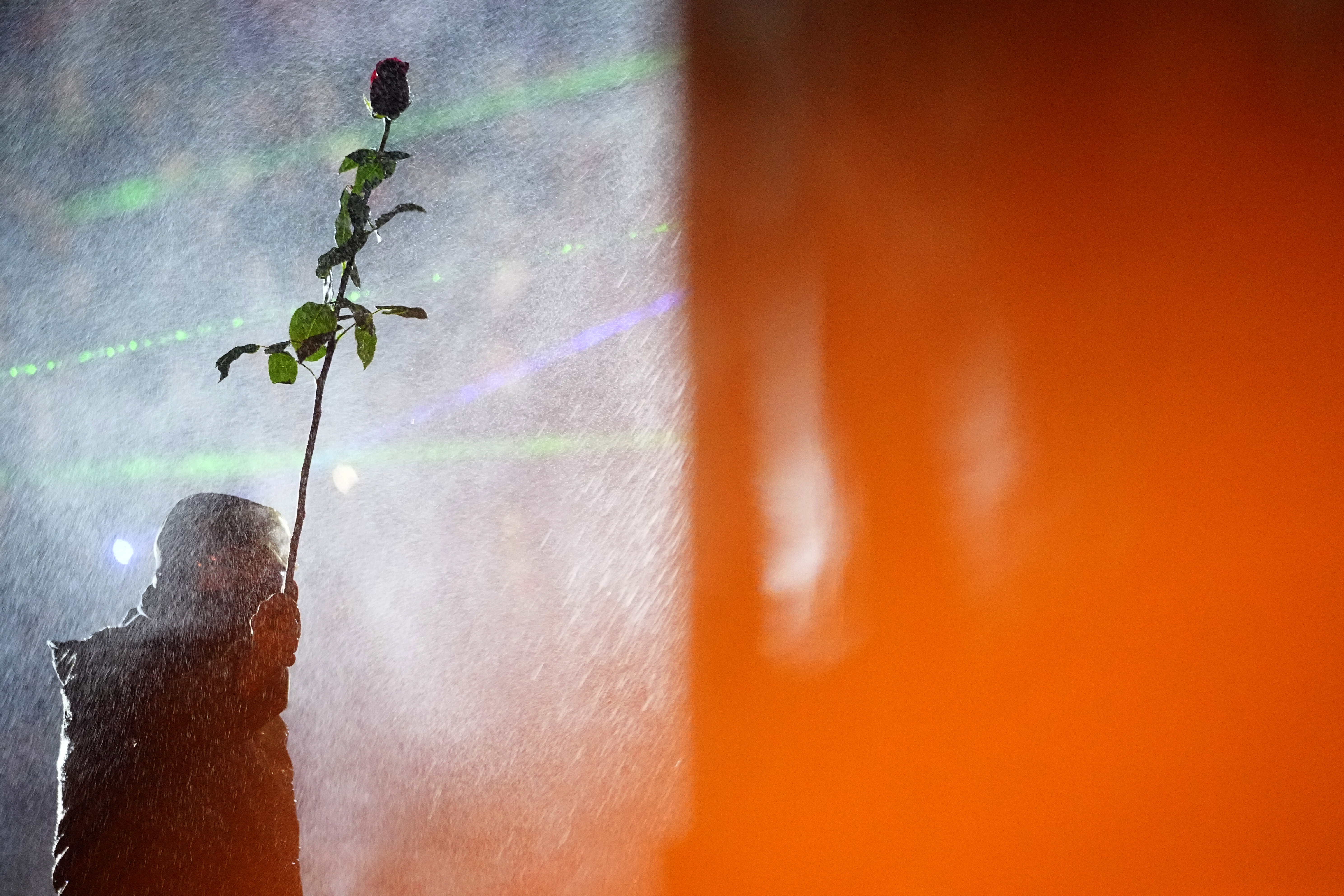 A demonstrator holds a rose while standing under running water from a fire pump used by police during a rally outside the parliament's building to protest against the government's decision to suspend negotiations on joining the European Union in Tbilisi, Georgia, on Tuesday, Dec. 3, 2024. (AP Photo/Pavel Bednyakov)